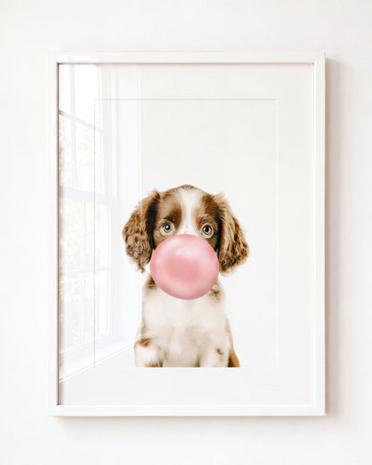 Baby Puppy Springer Spaniel Portrait