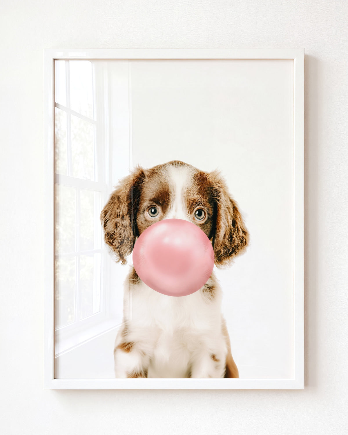 Baby Puppy Springer Spaniel Portrait