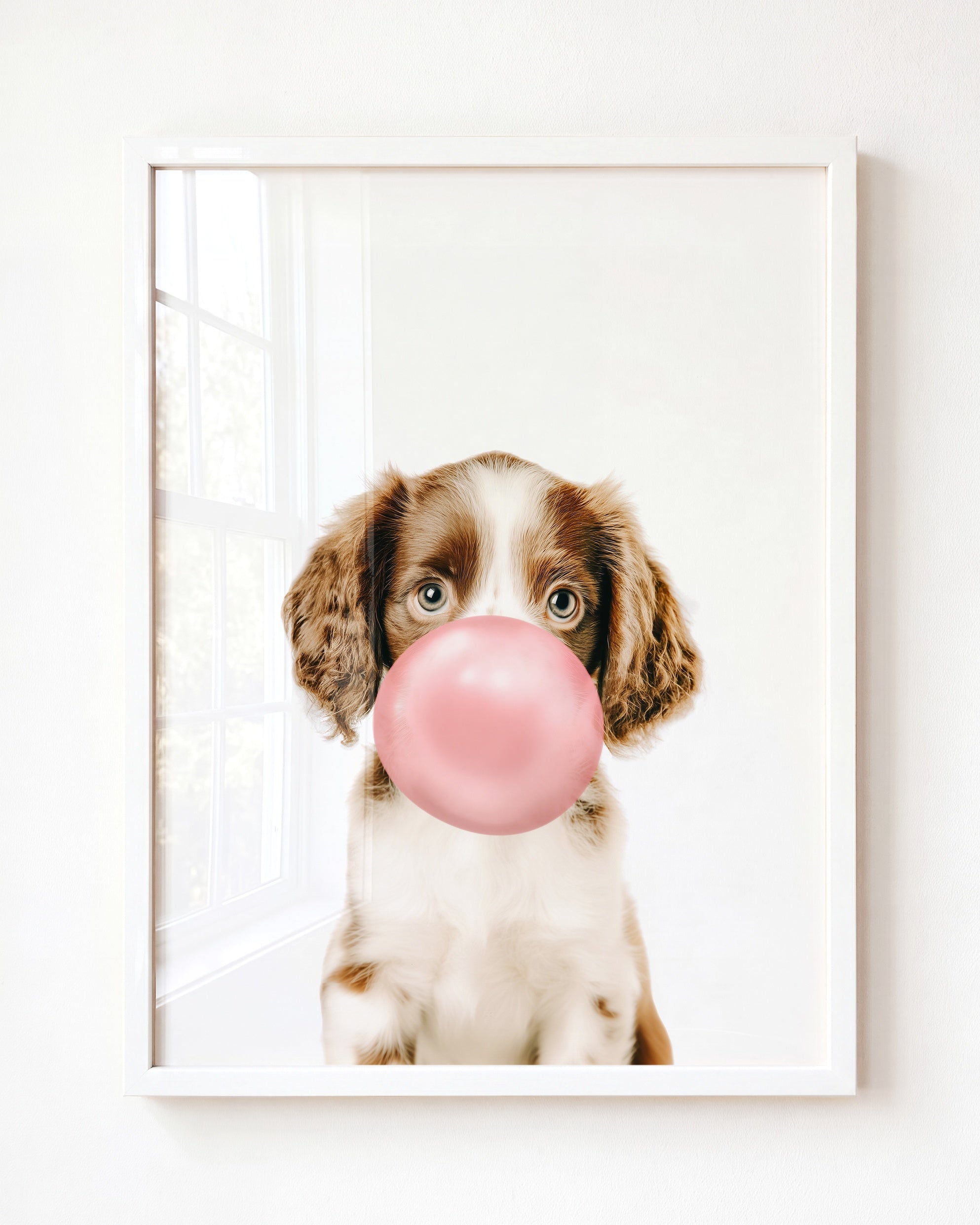 Baby Puppy Springer Spaniel Portrait