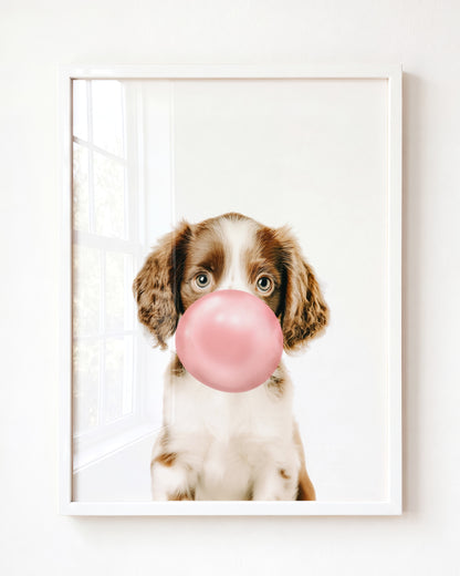 Baby Puppy Springer Spaniel Portrait