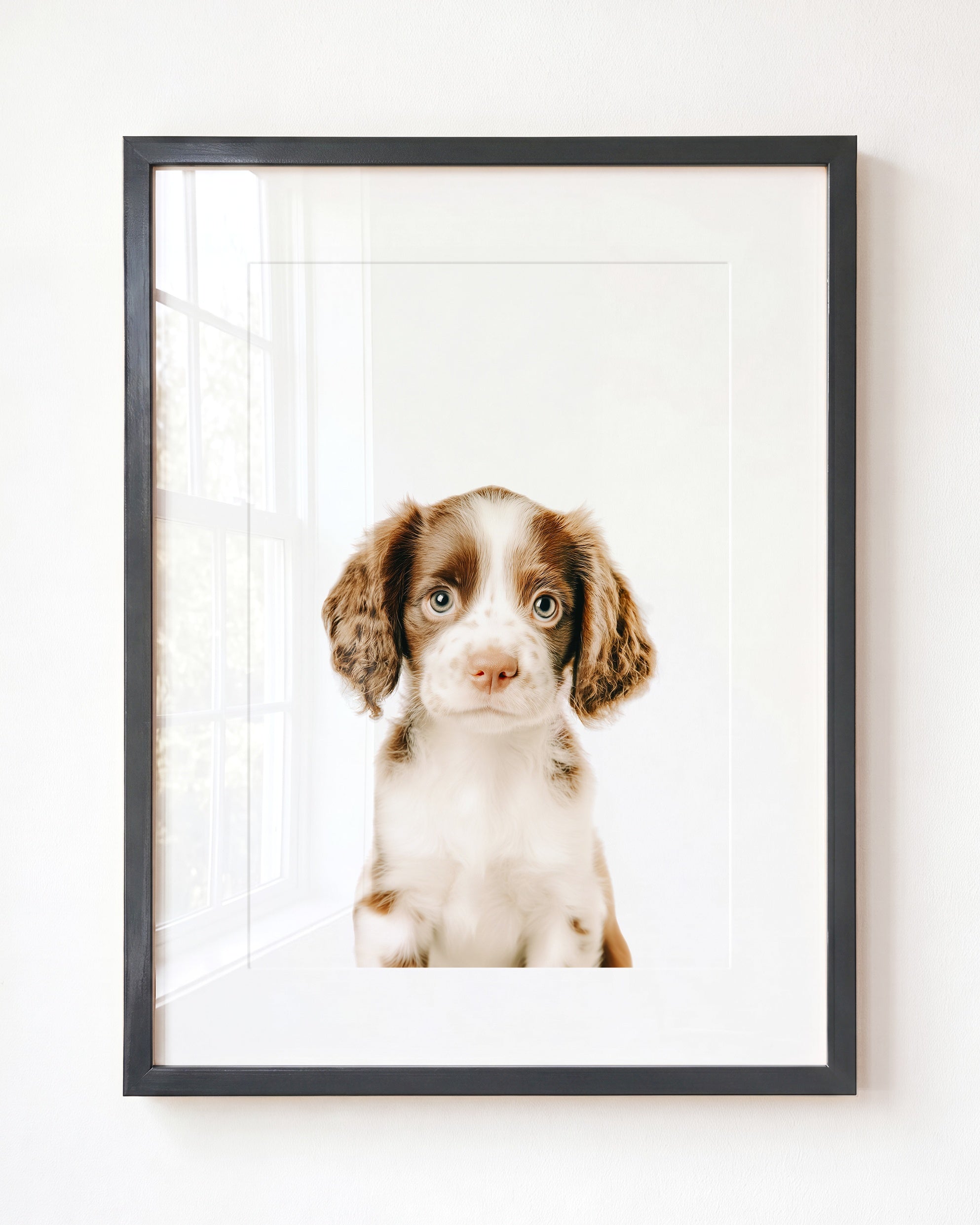 Baby Puppy Springer Spaniel Portrait