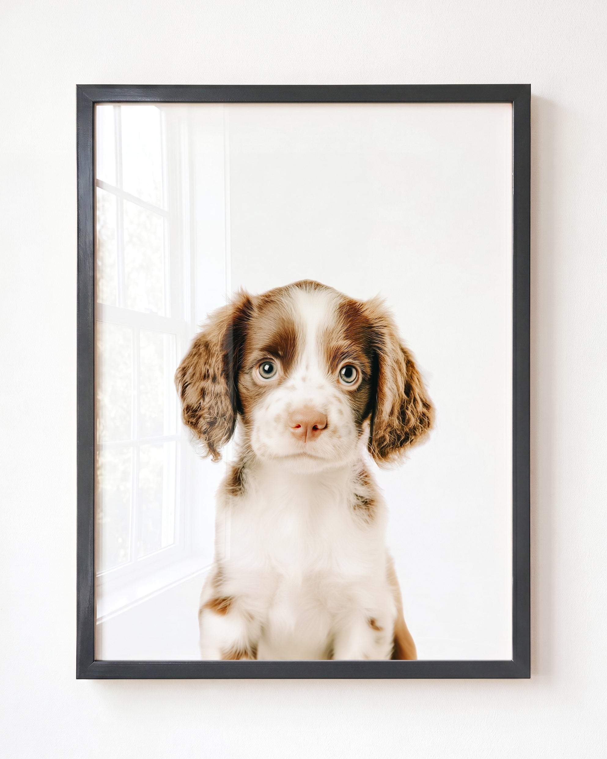 Baby Puppy Springer Spaniel Portrait