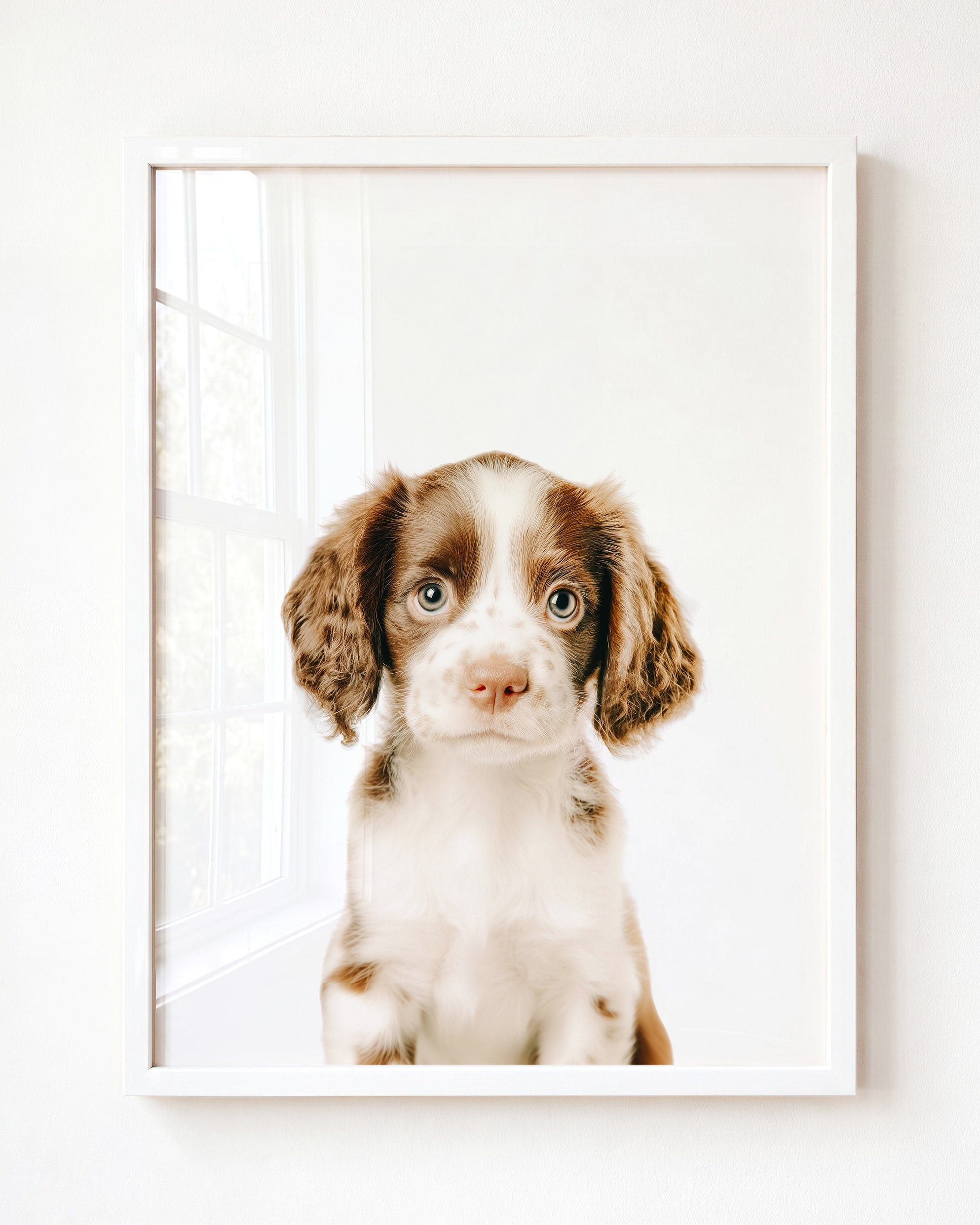 Baby Puppy Springer Spaniel Portrait