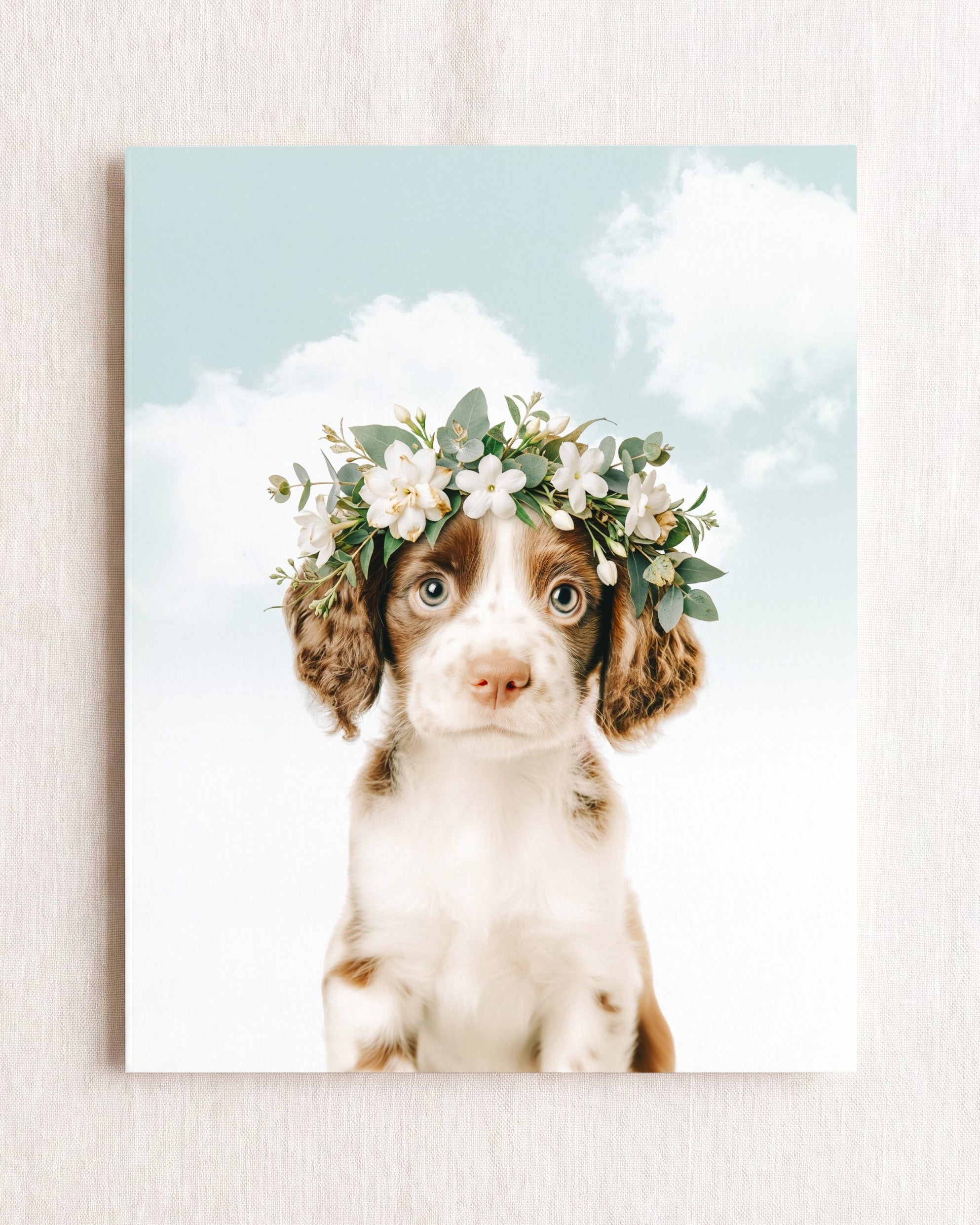 Baby Puppy Springer Spaniel Portrait