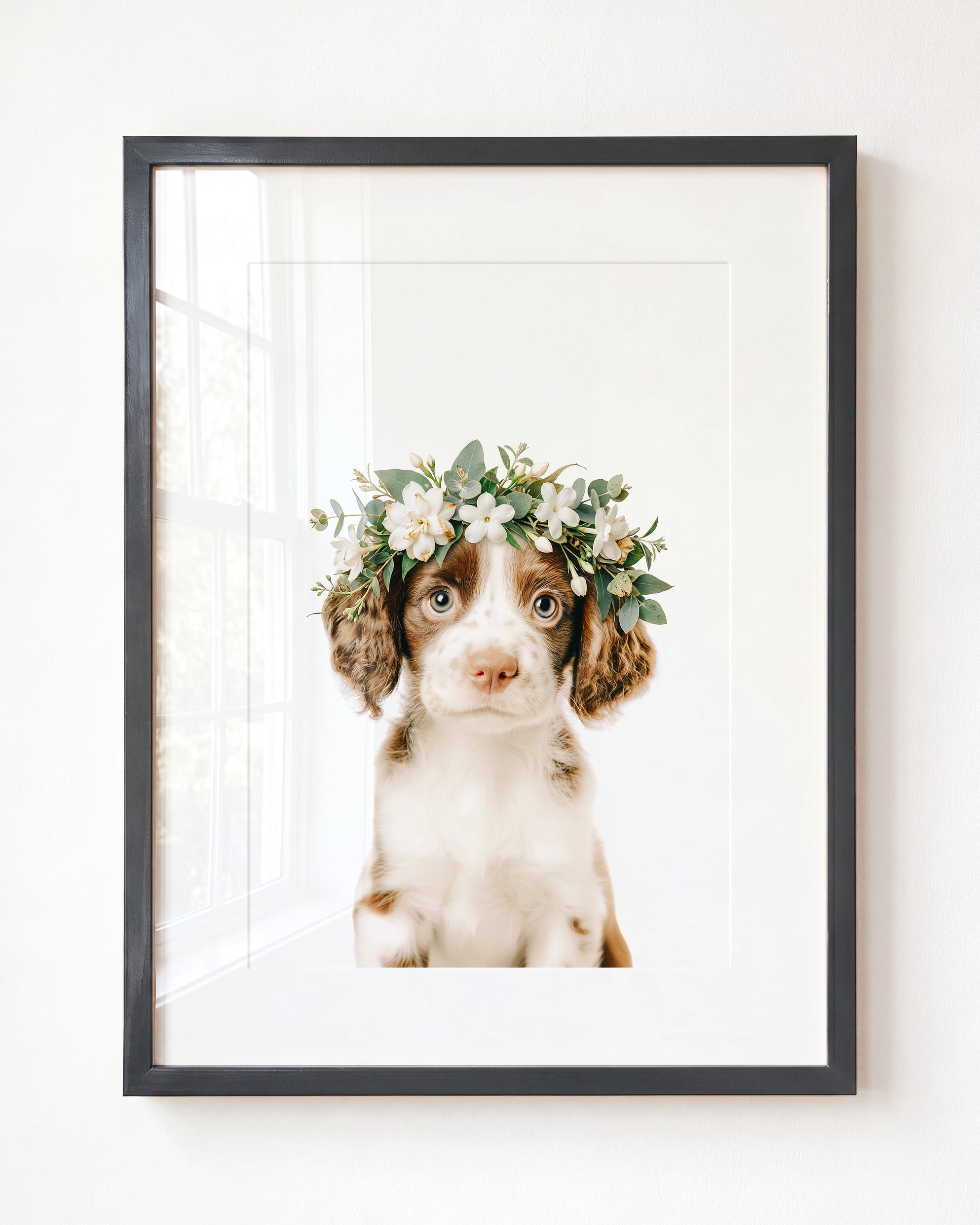 Baby Puppy Springer Spaniel Portrait
