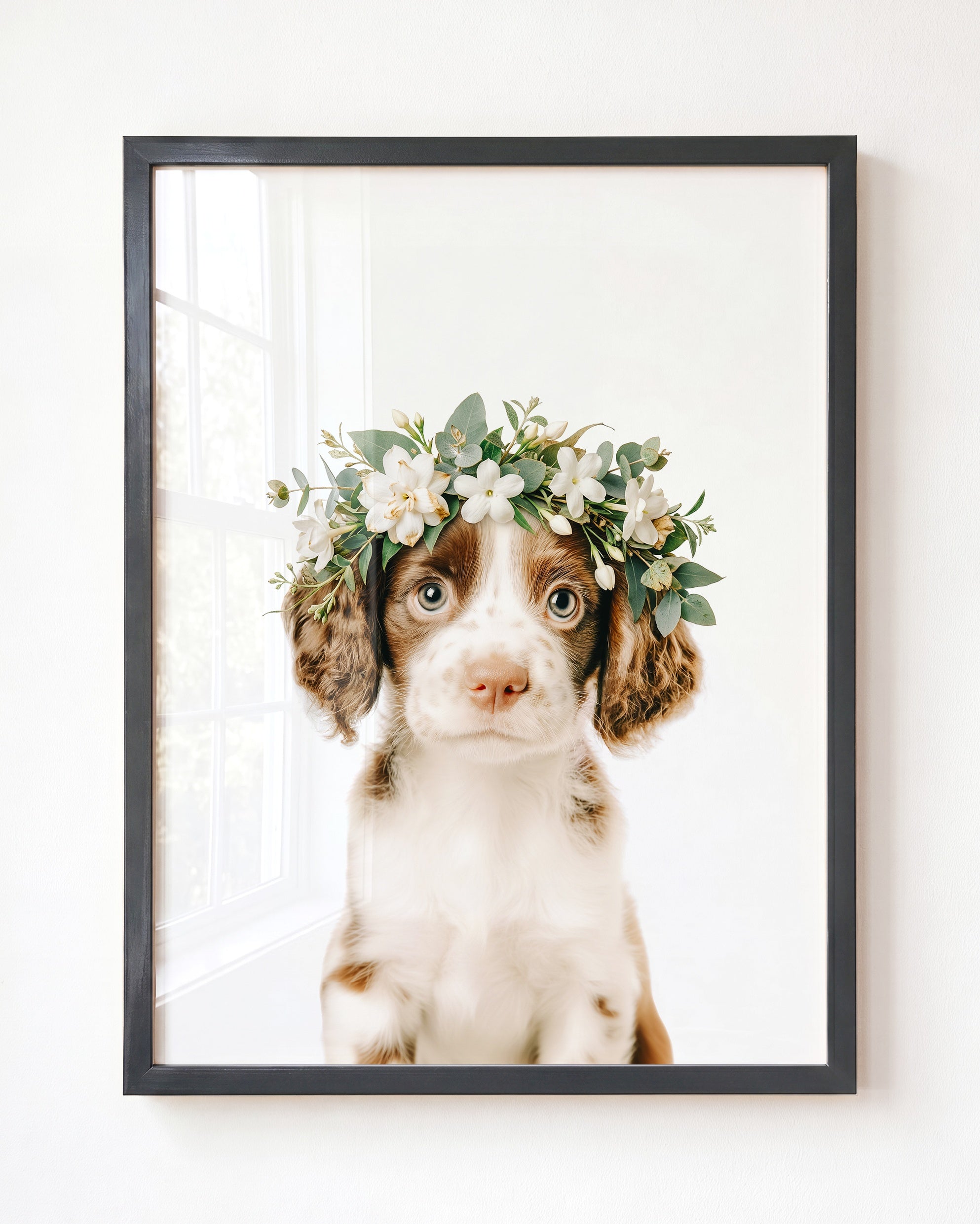 Baby Puppy Springer Spaniel Portrait