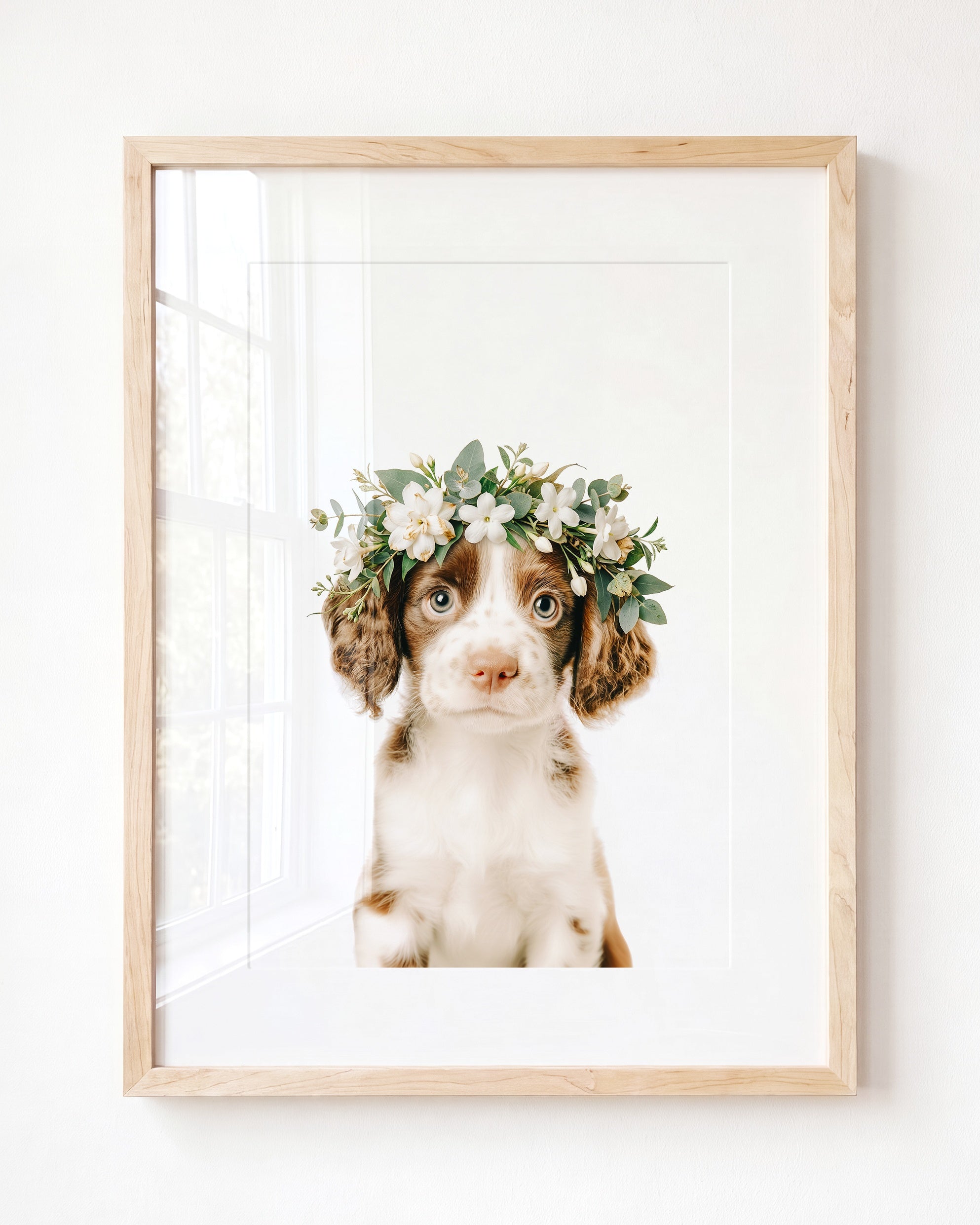 Baby Puppy Springer Spaniel Portrait