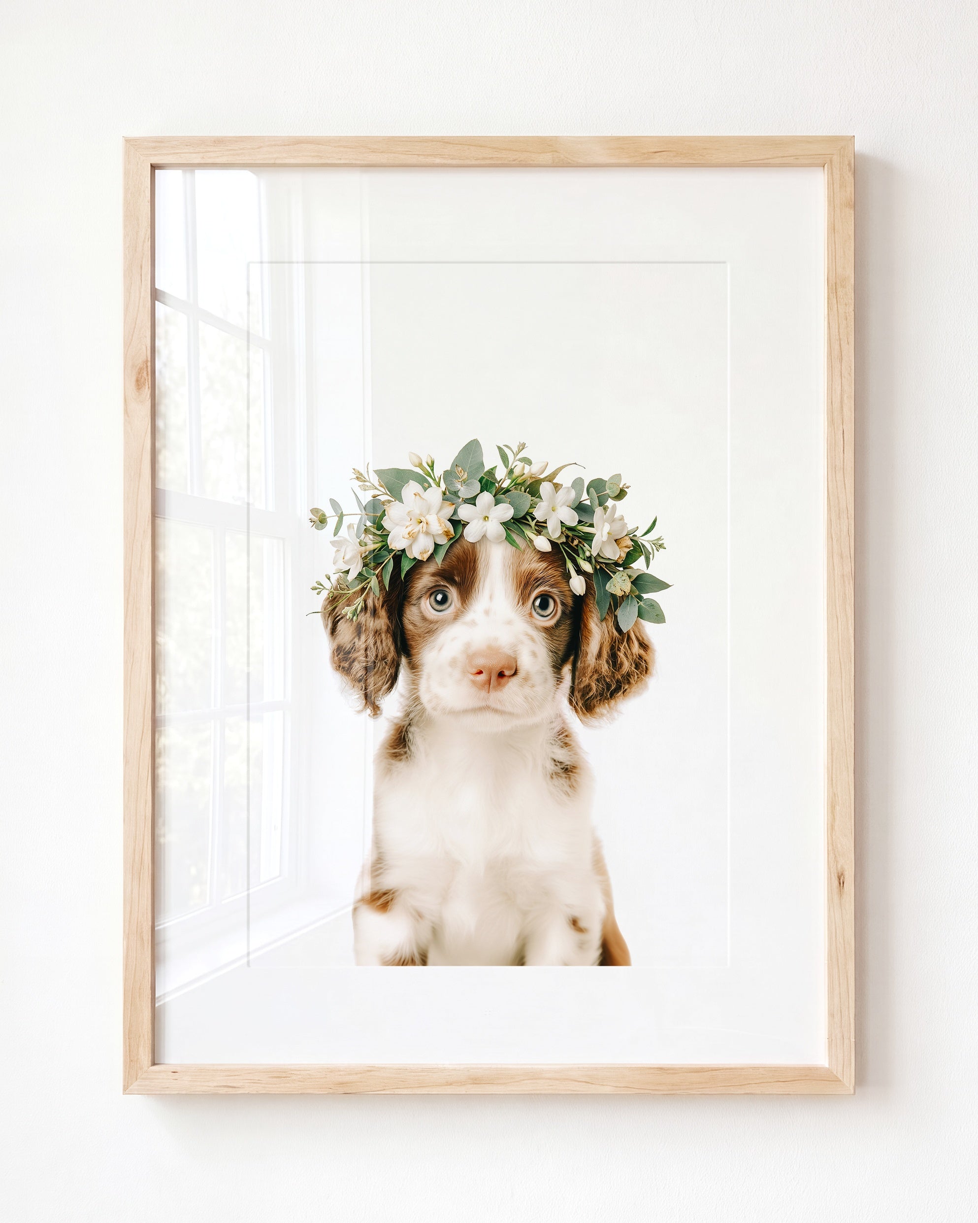 Baby Puppy Springer Spaniel Portrait