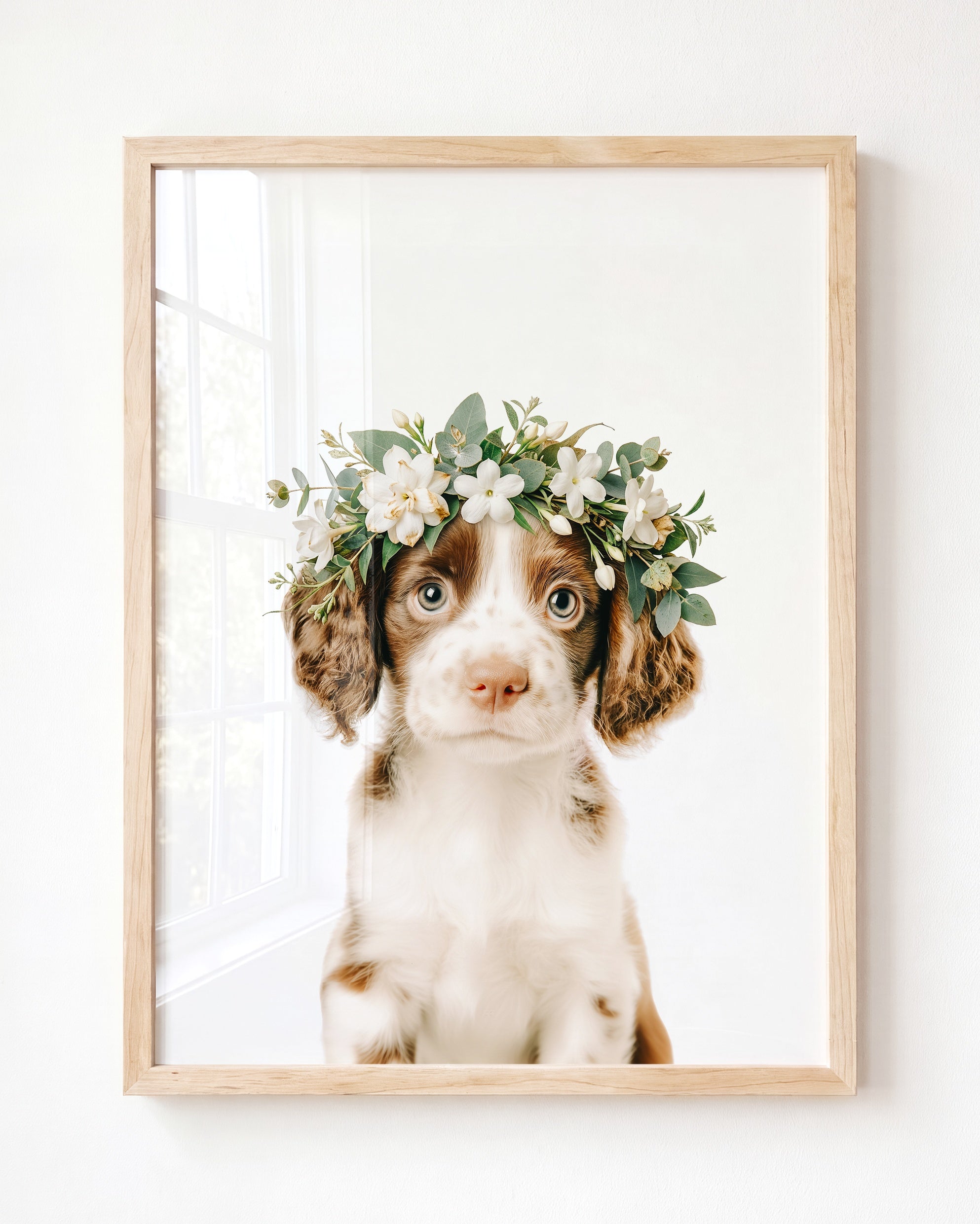 Baby Puppy Springer Spaniel Portrait