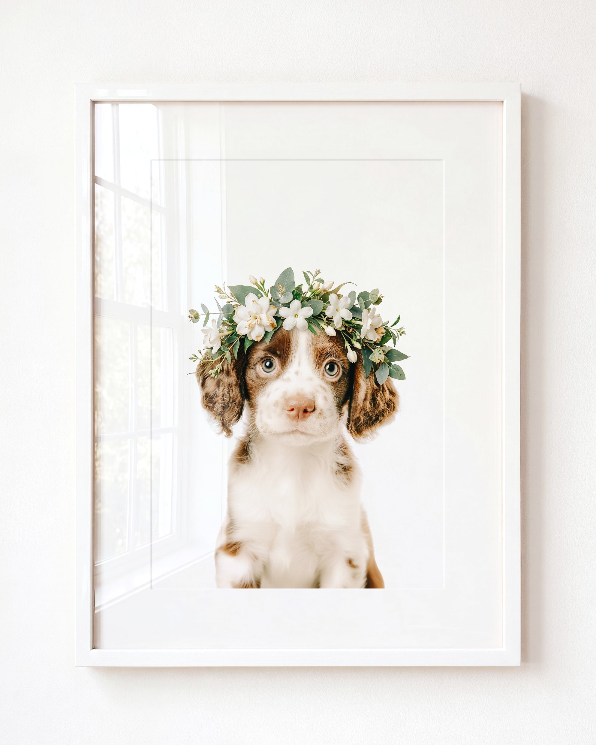 Baby Puppy Springer Spaniel Portrait