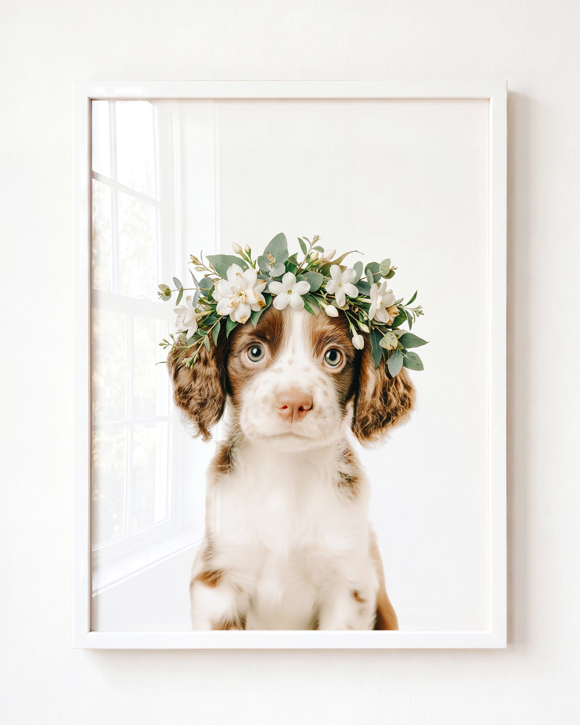 Baby Puppy Springer Spaniel Portrait