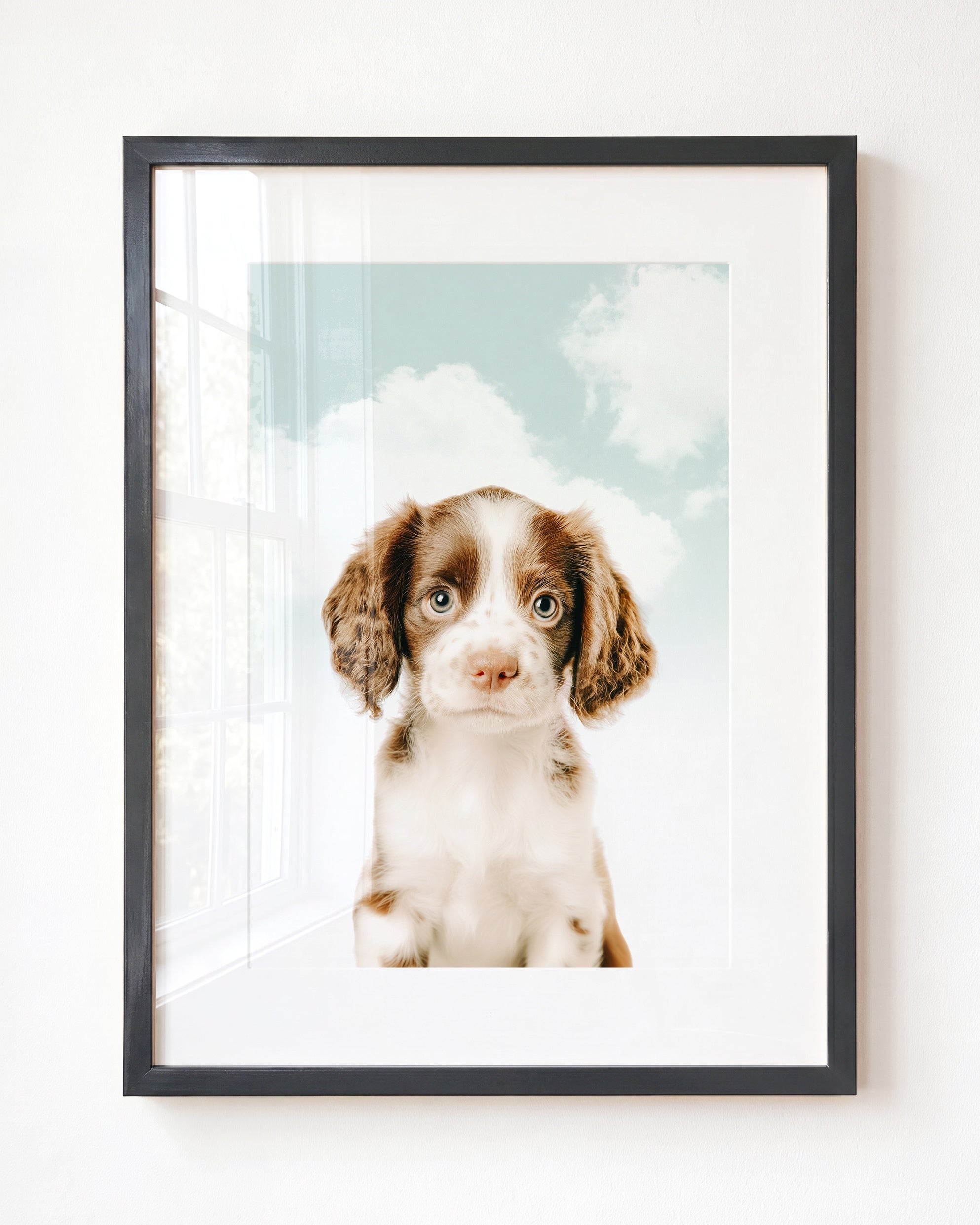 Baby Puppy Springer Spaniel Portrait