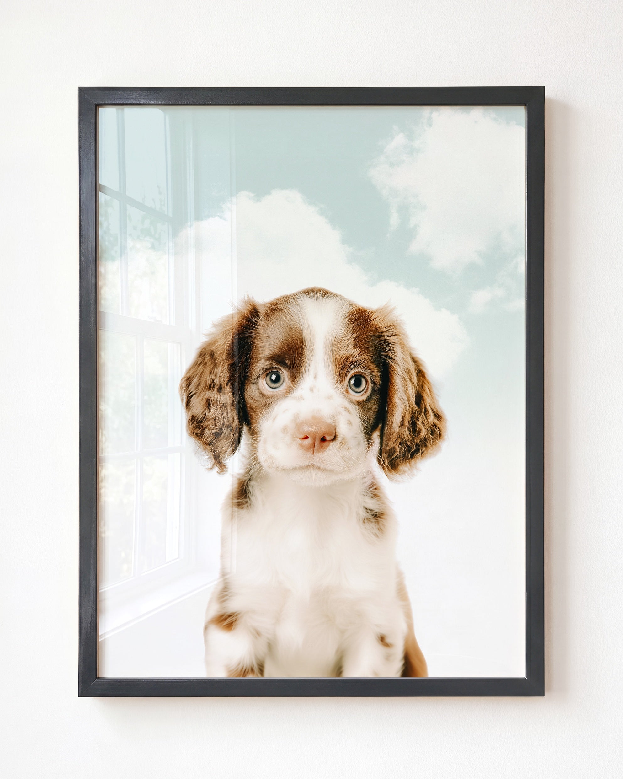 Baby Puppy Springer Spaniel Portrait