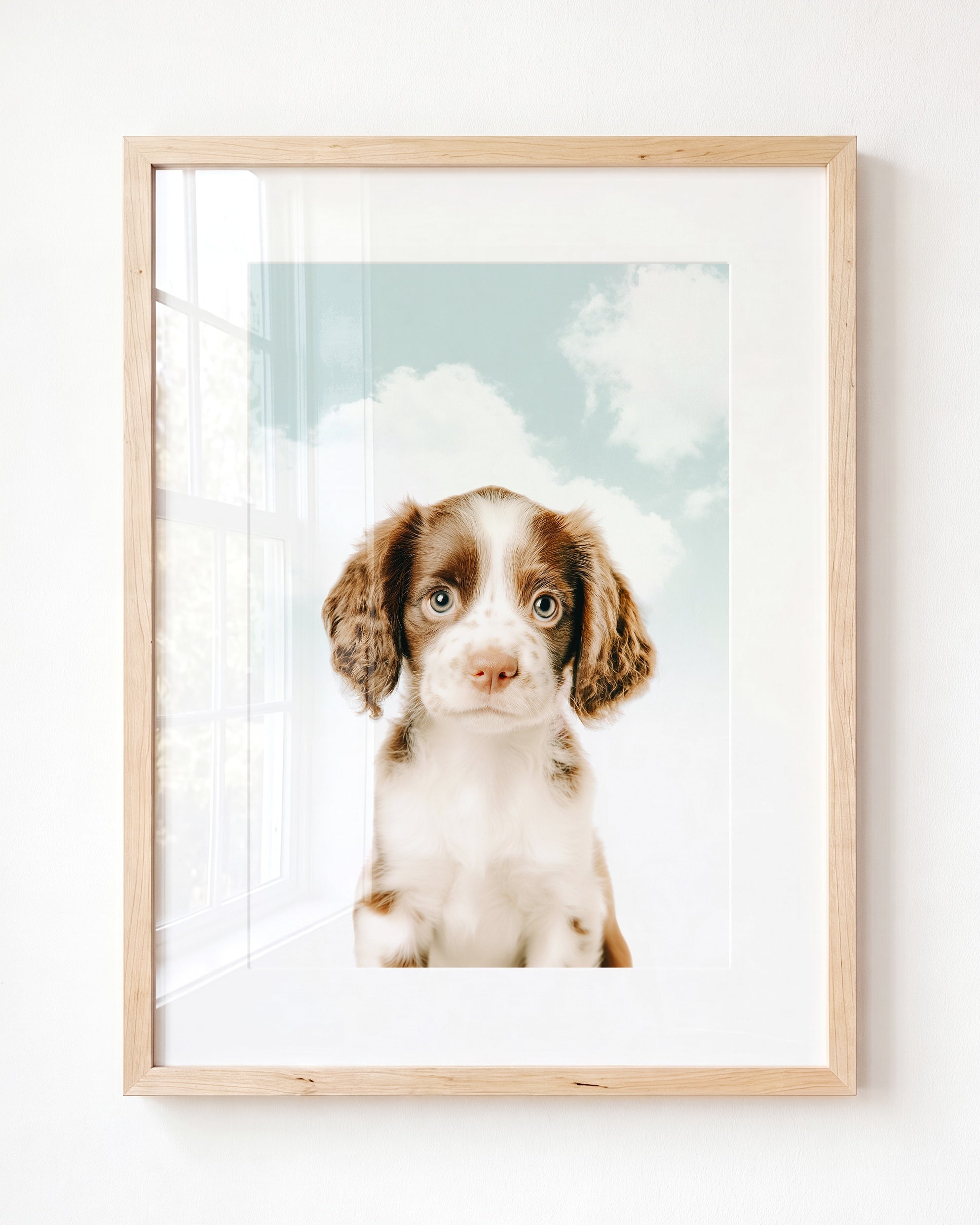 Baby Puppy Springer Spaniel Portrait