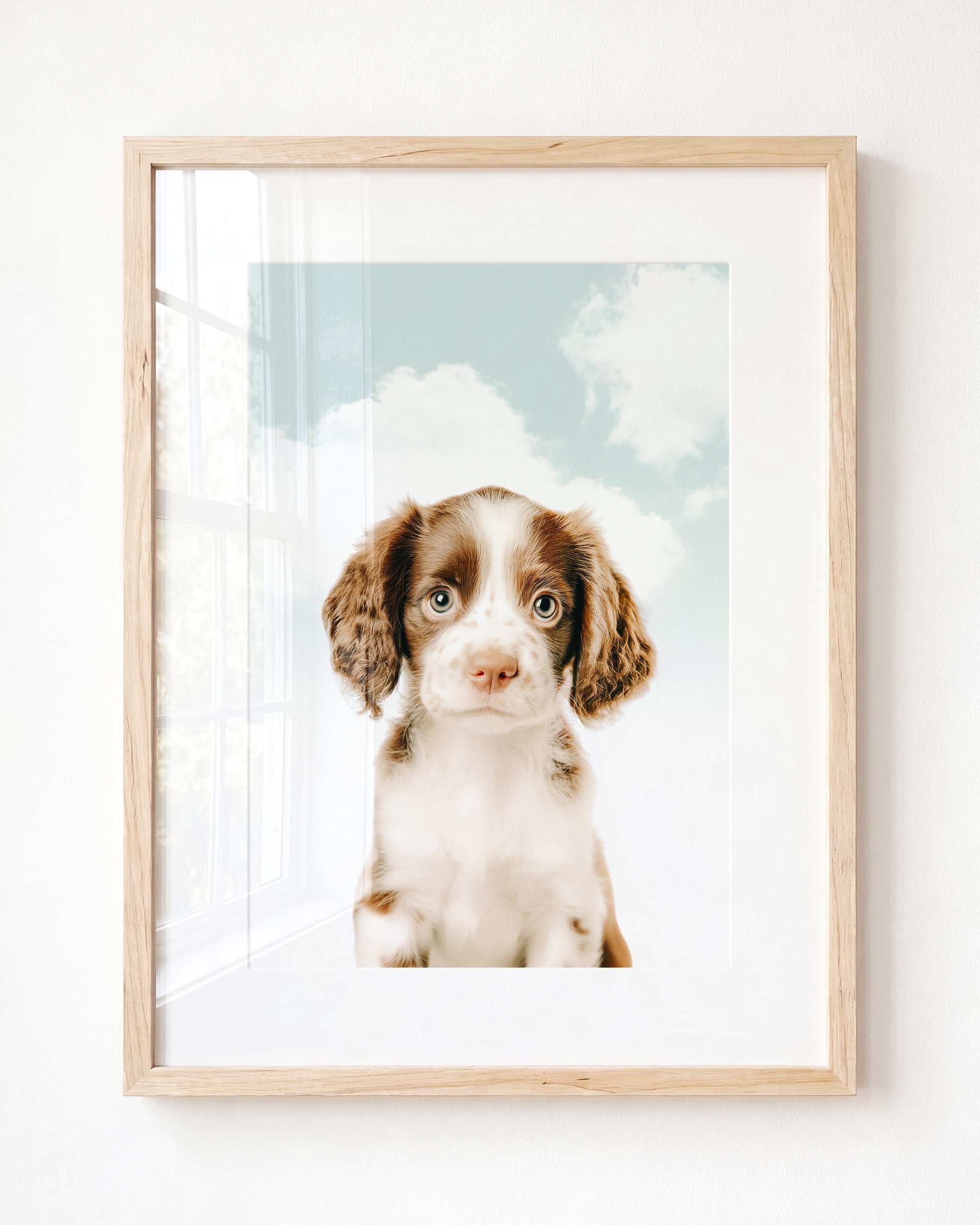 Baby Puppy Springer Spaniel Portrait