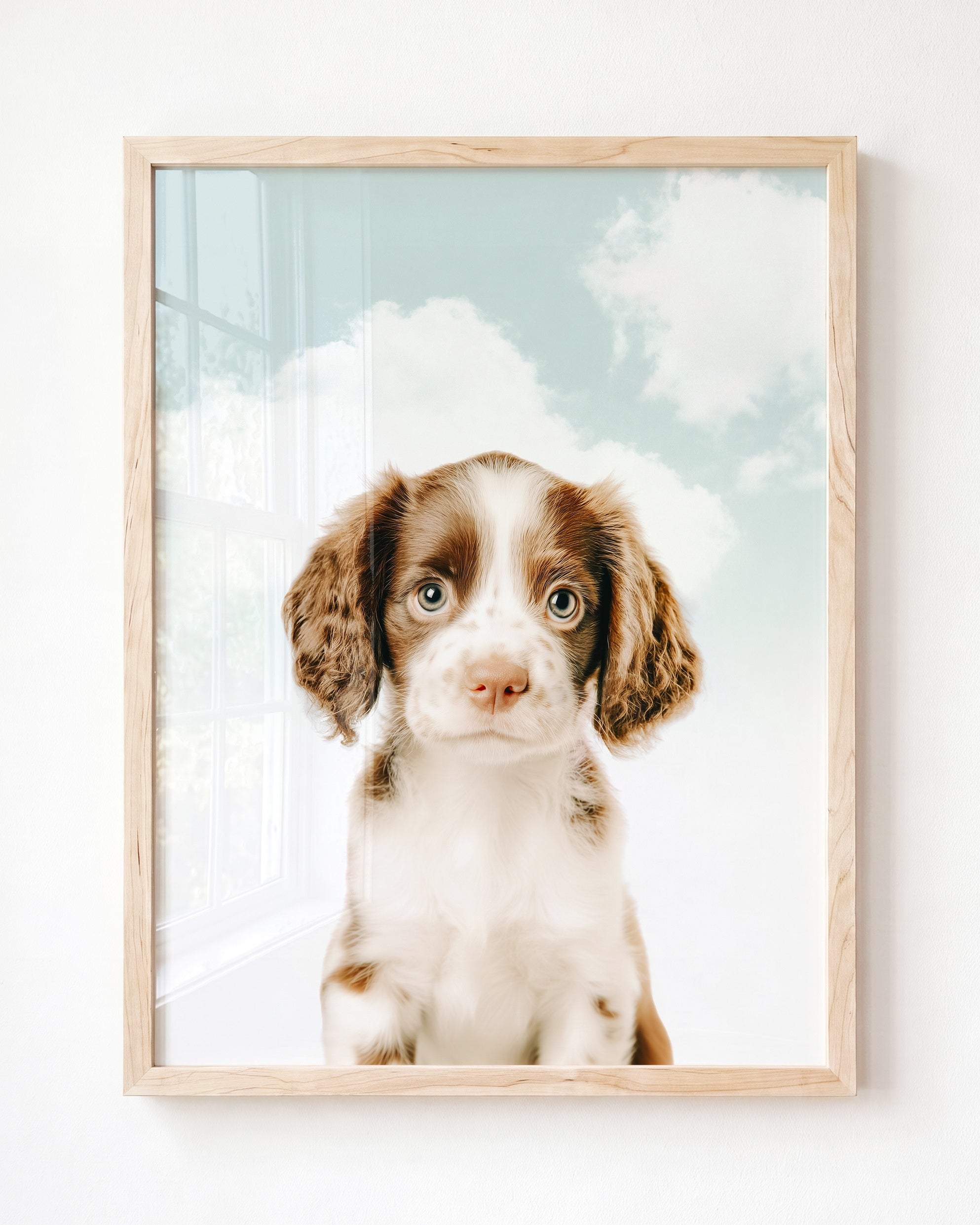 Baby Puppy Springer Spaniel Portrait