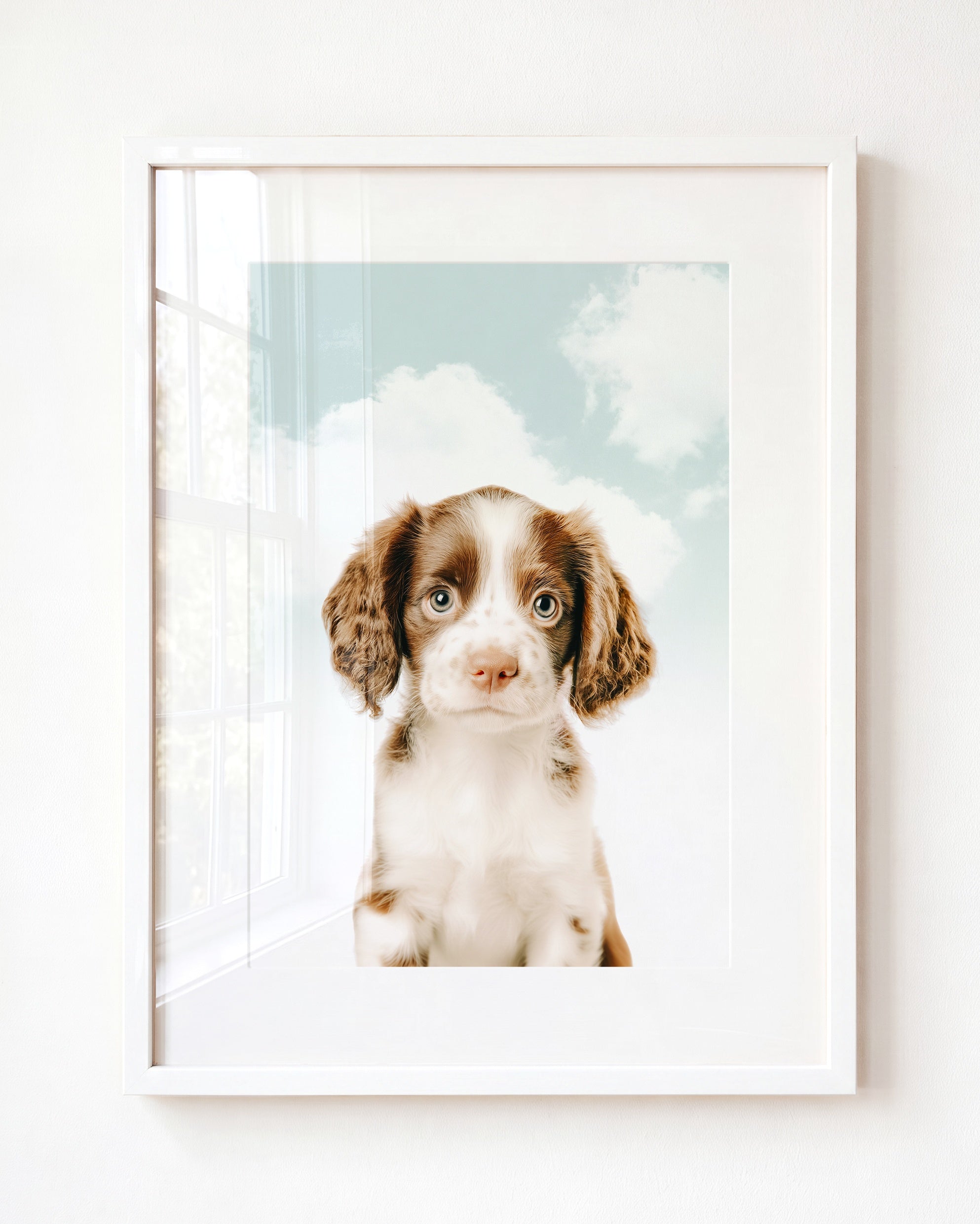 Baby Puppy Springer Spaniel Portrait