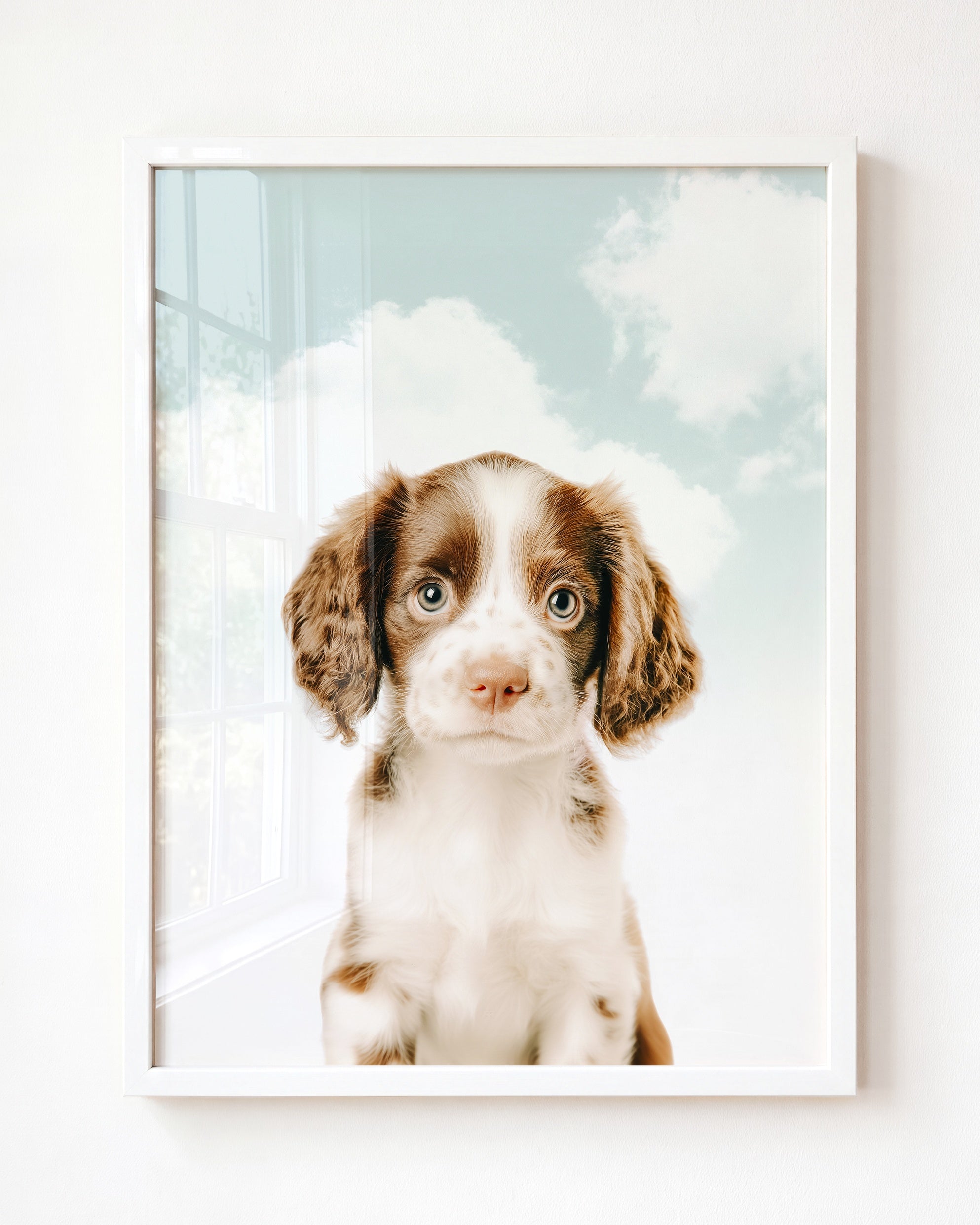 Baby Puppy Springer Spaniel Portrait