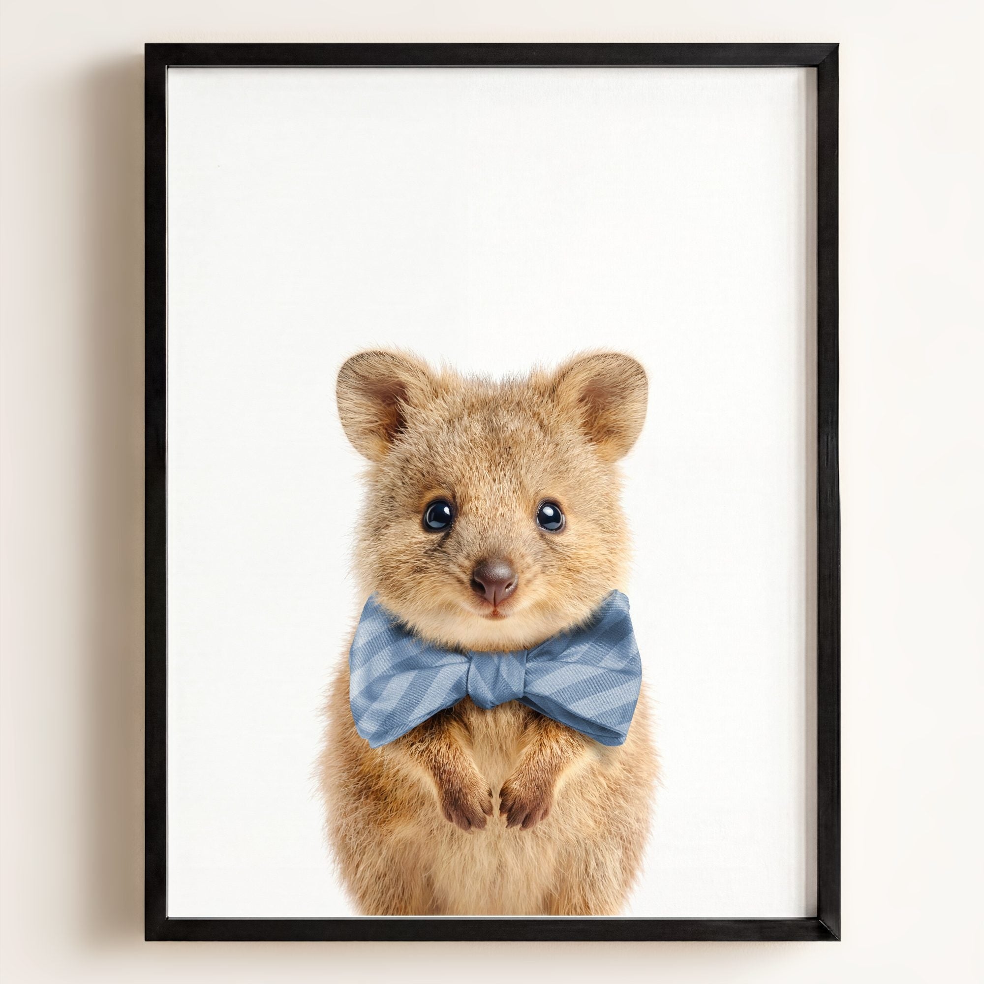 Baby Quokka
