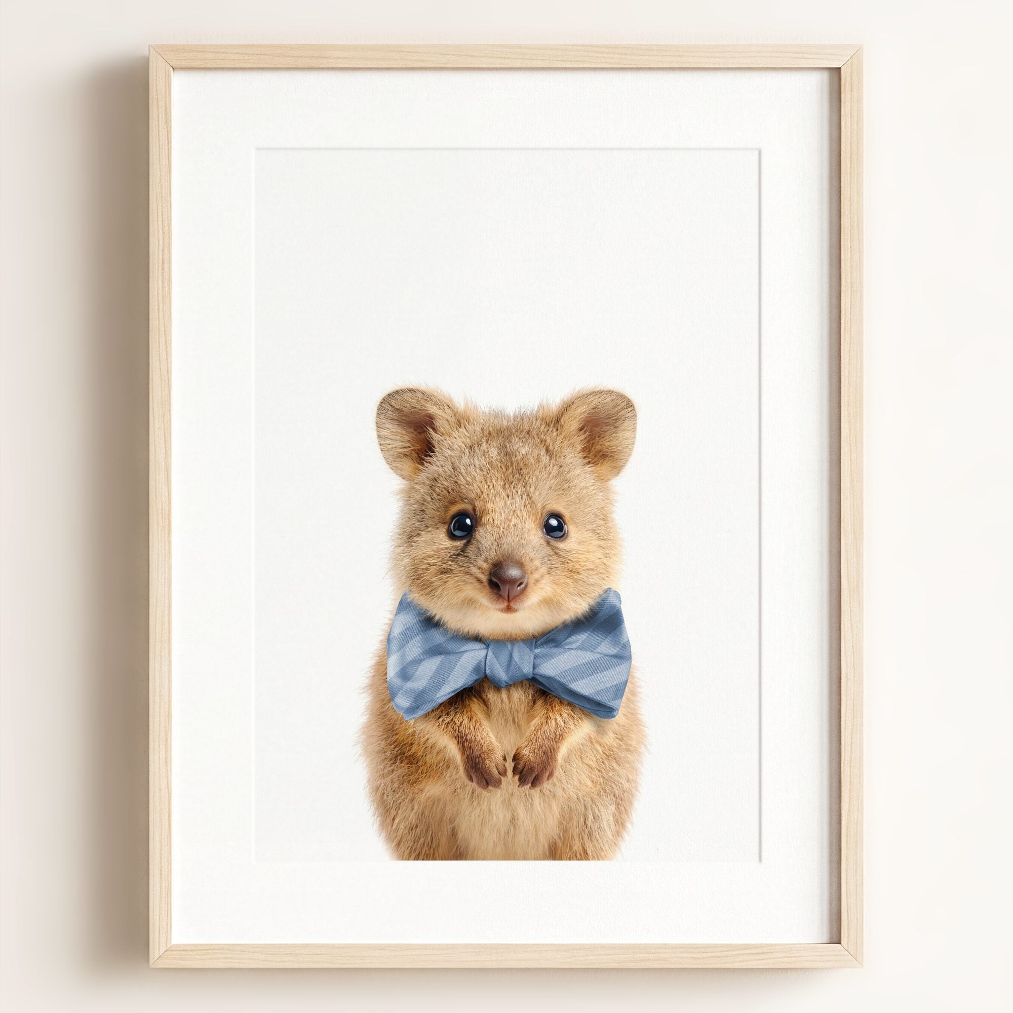 Baby Quokka