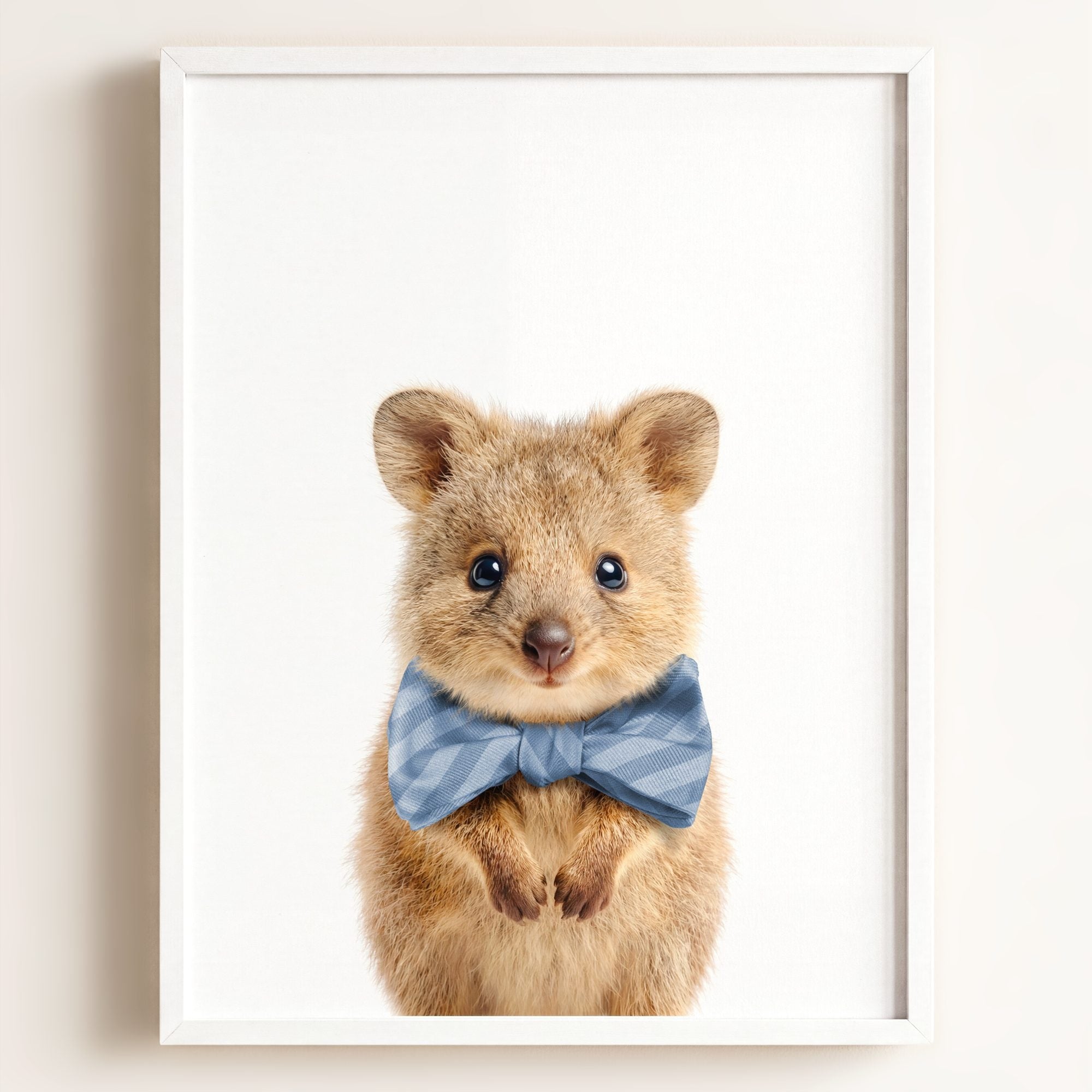 Baby Quokka