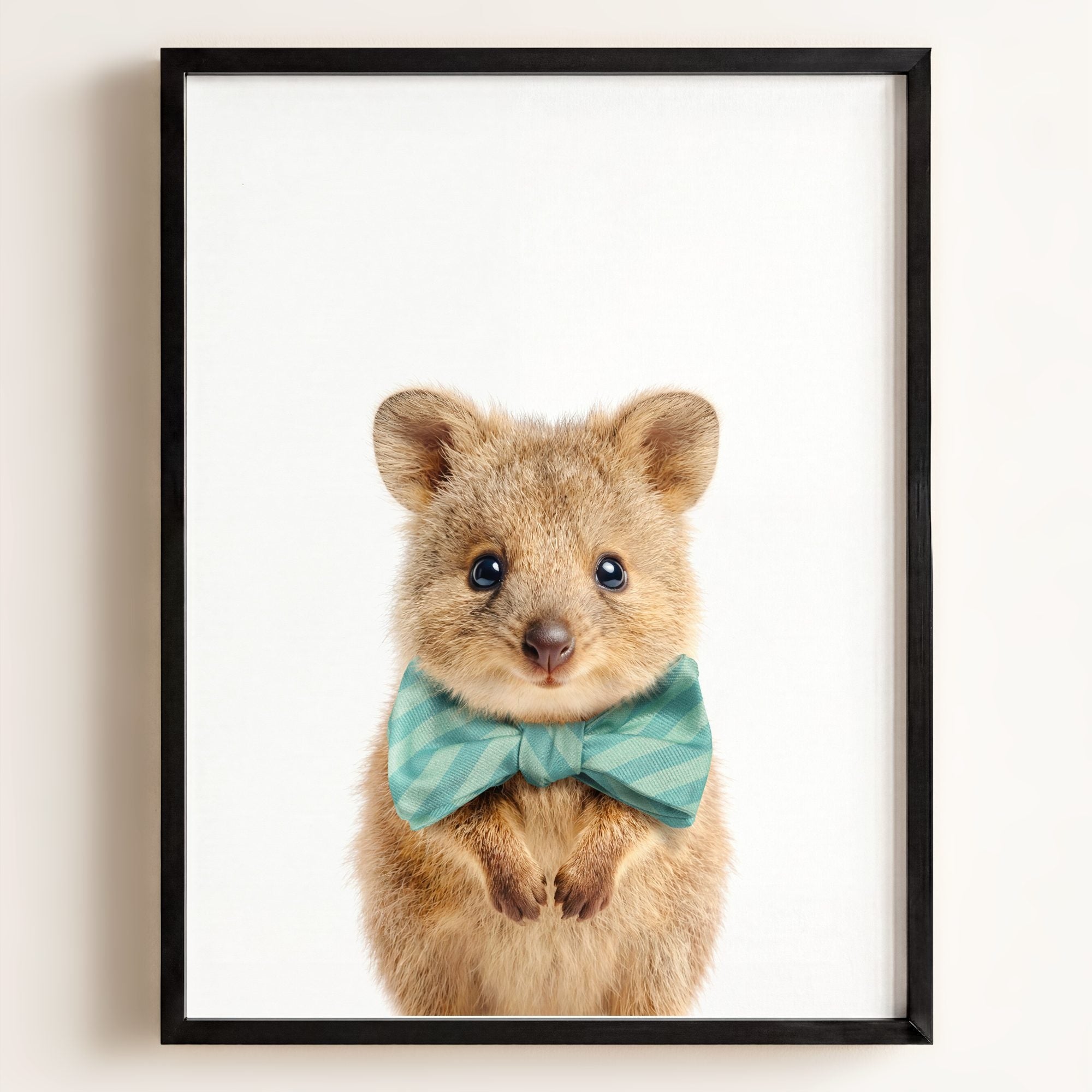 Baby Quokka