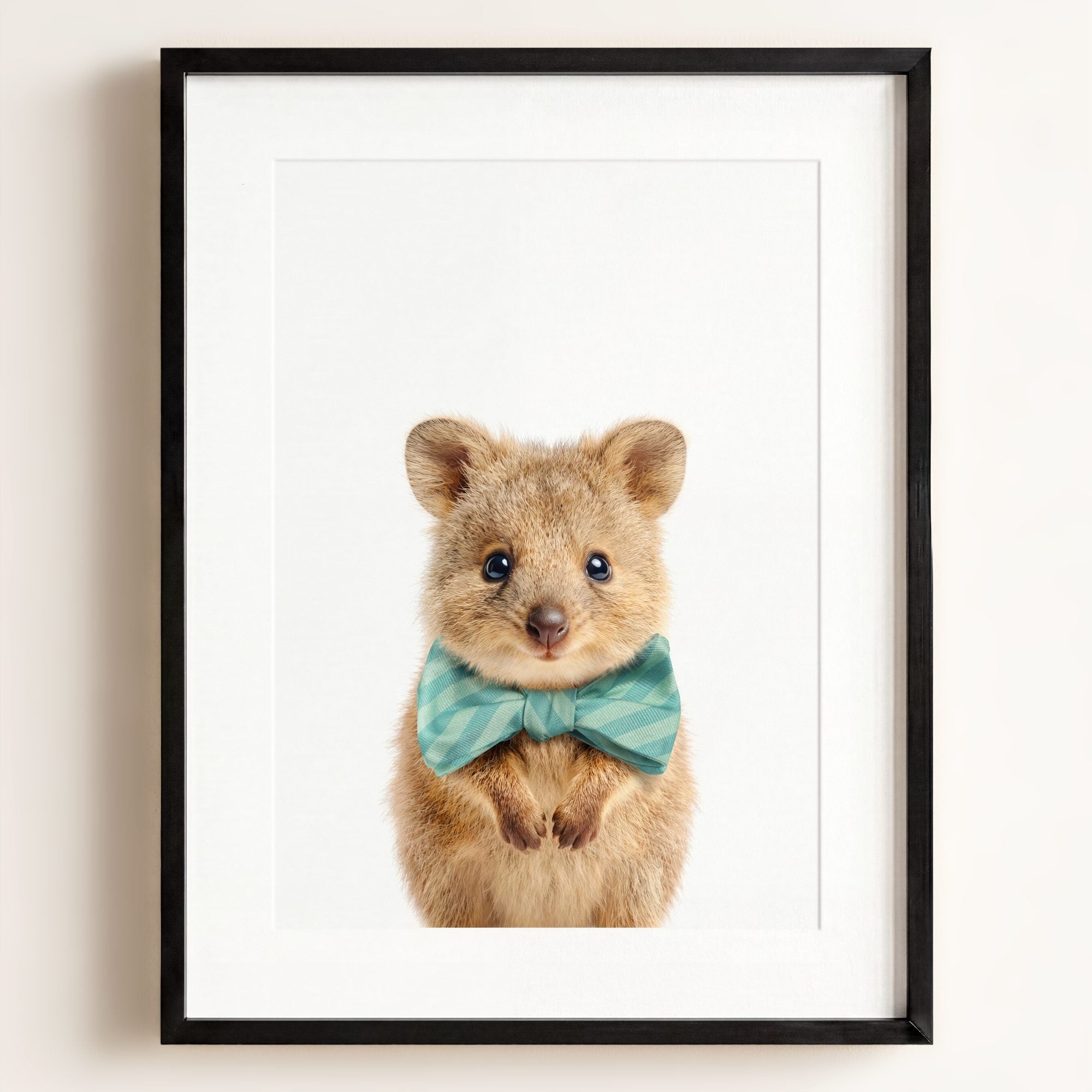 Baby Quokka