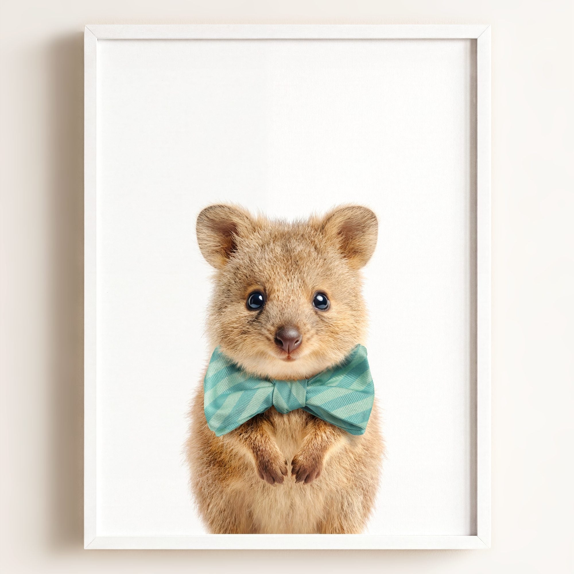 Baby Quokka