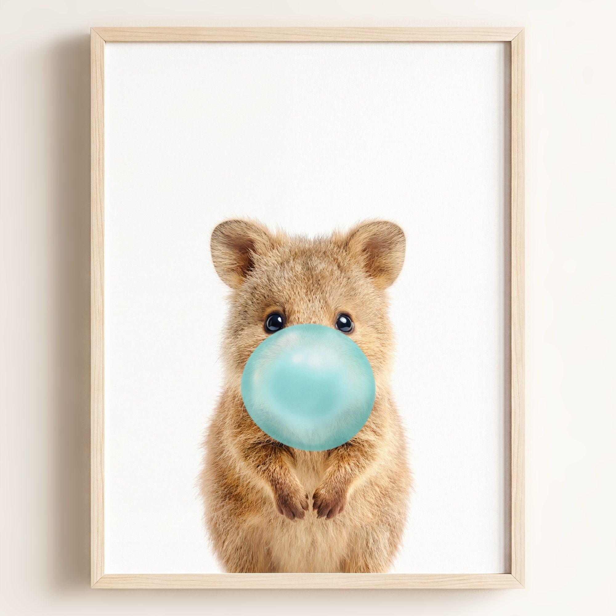 Baby Quokka