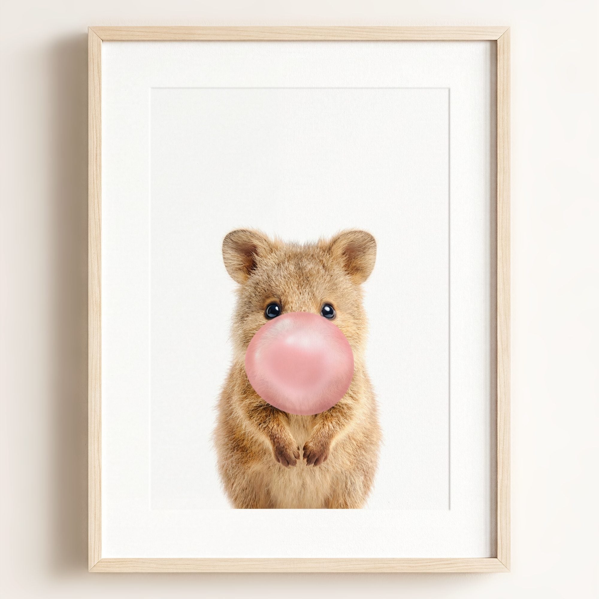 Baby Quokka