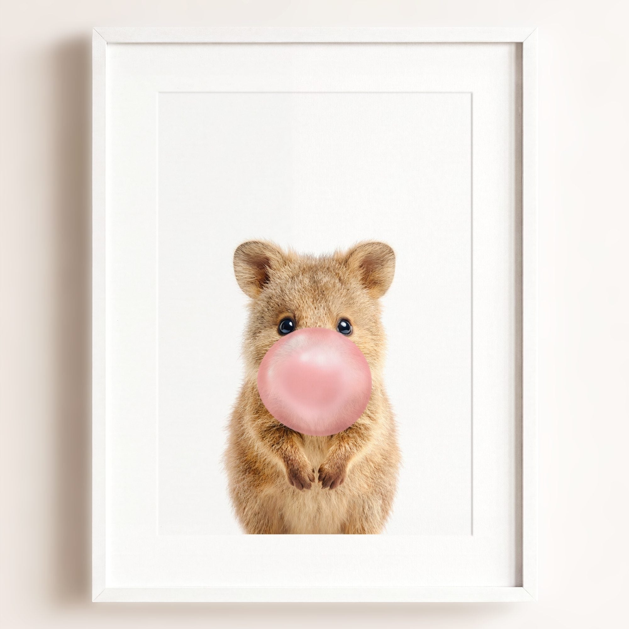 Baby Quokka