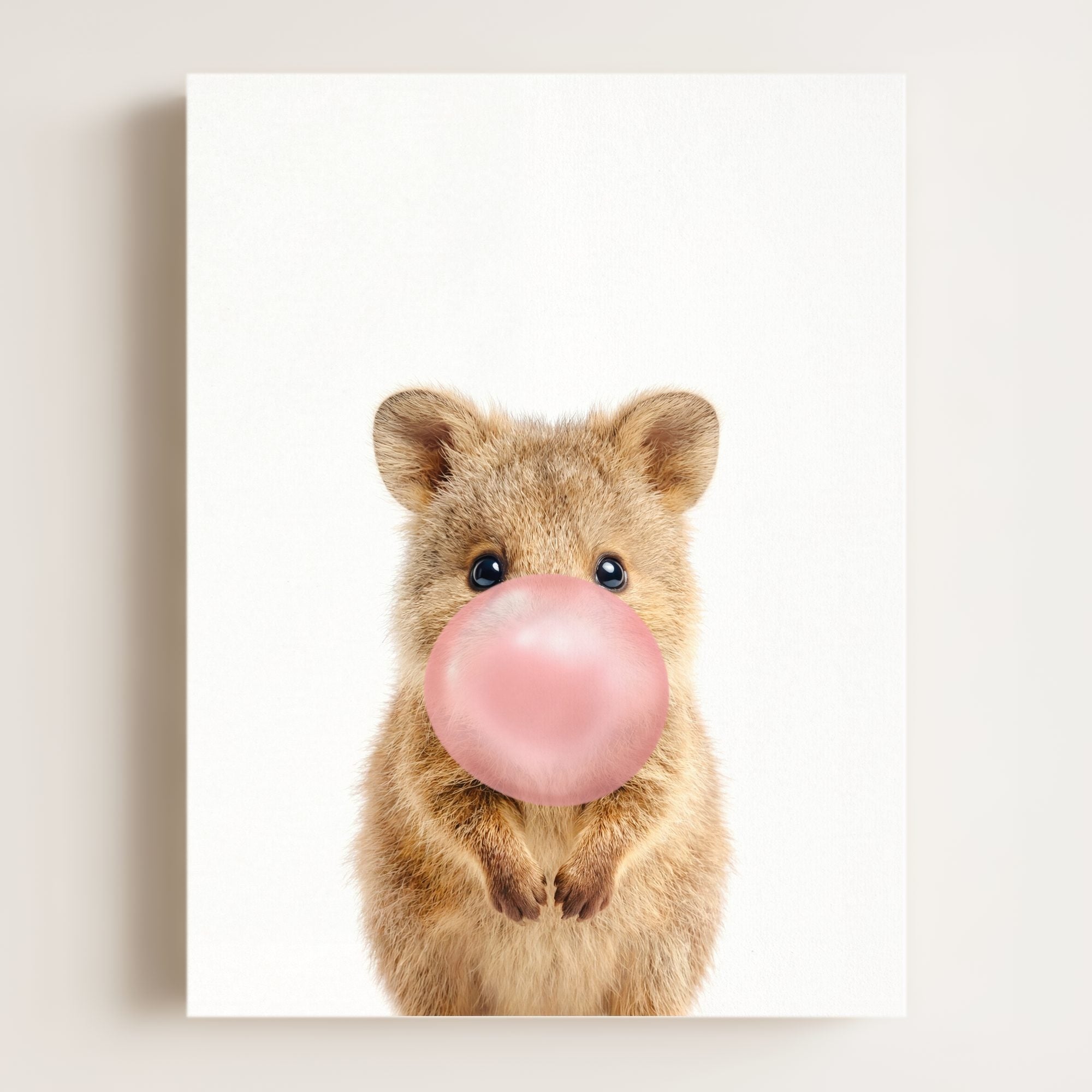 Baby Quokka