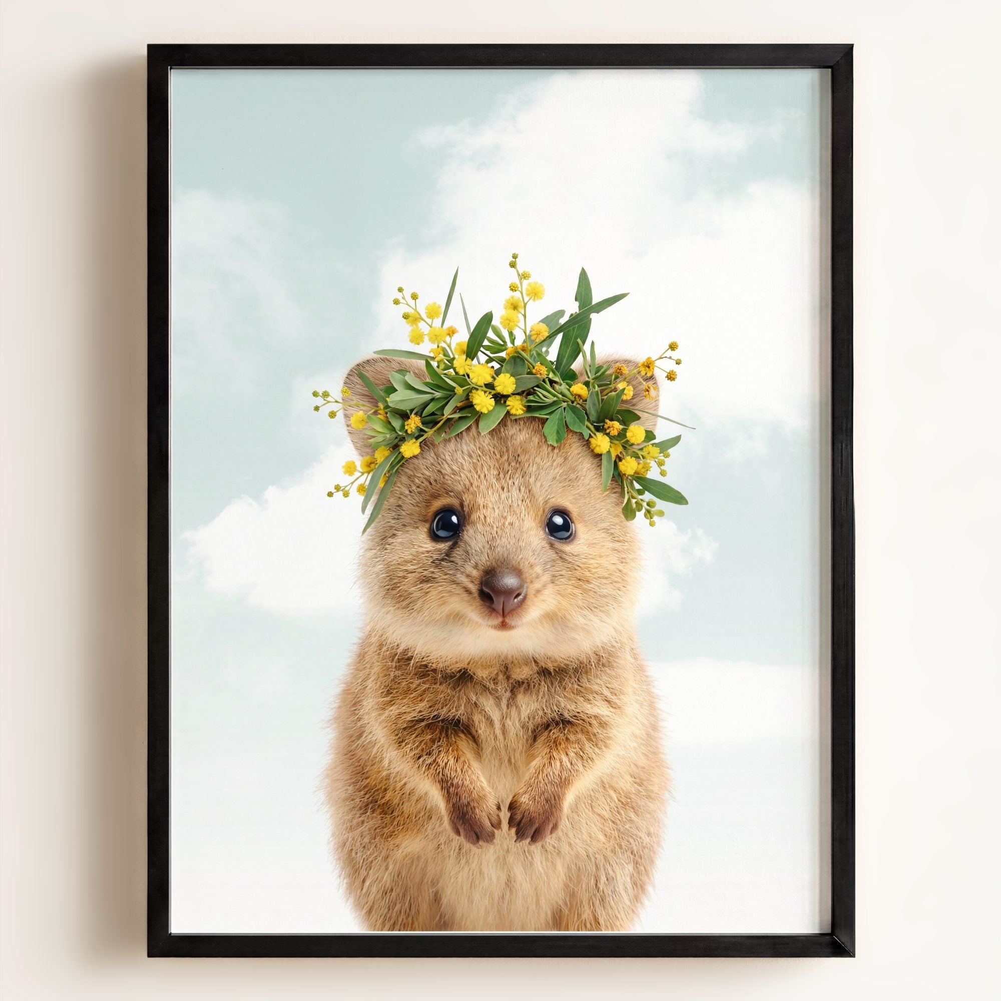 Baby Quokka