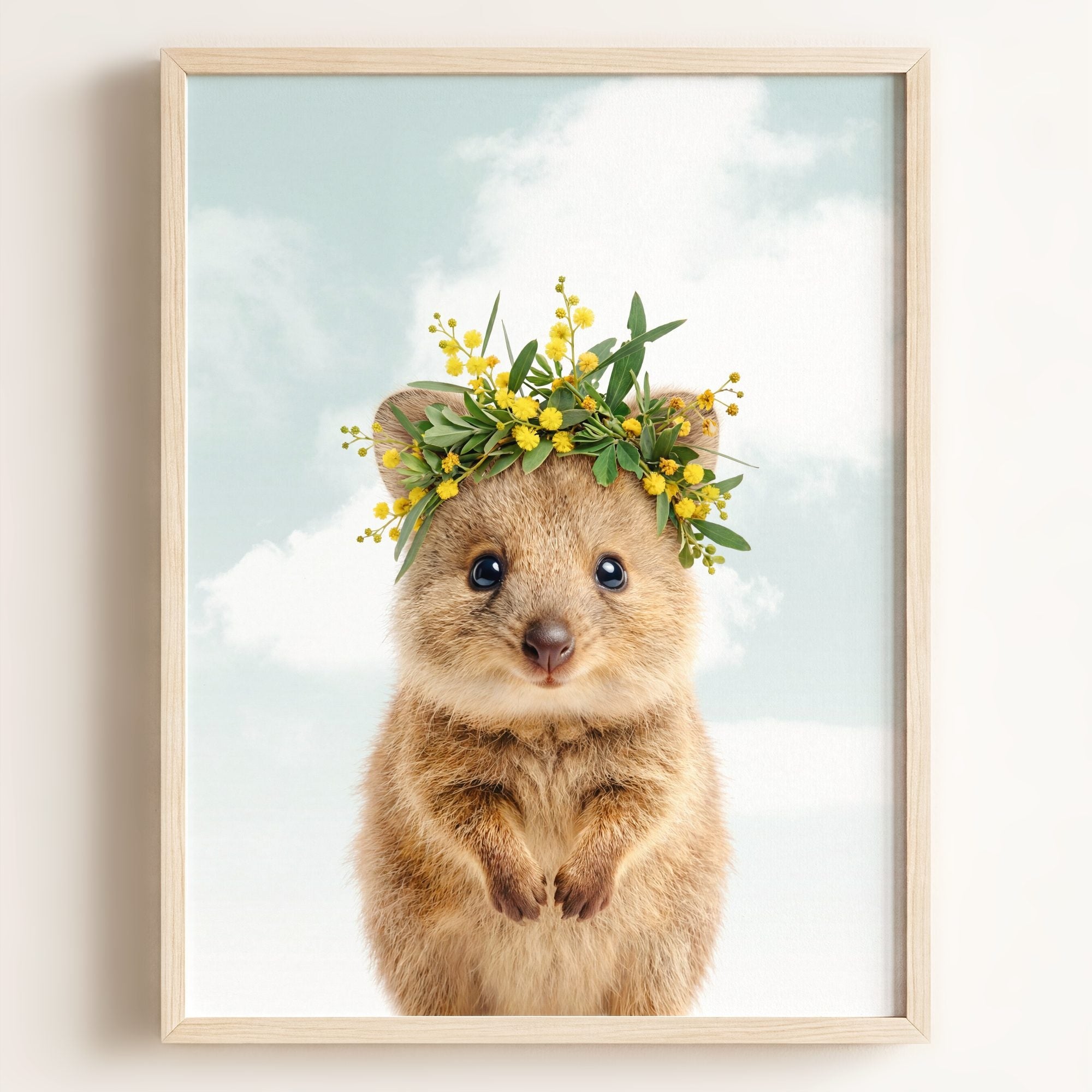 Baby Quokka