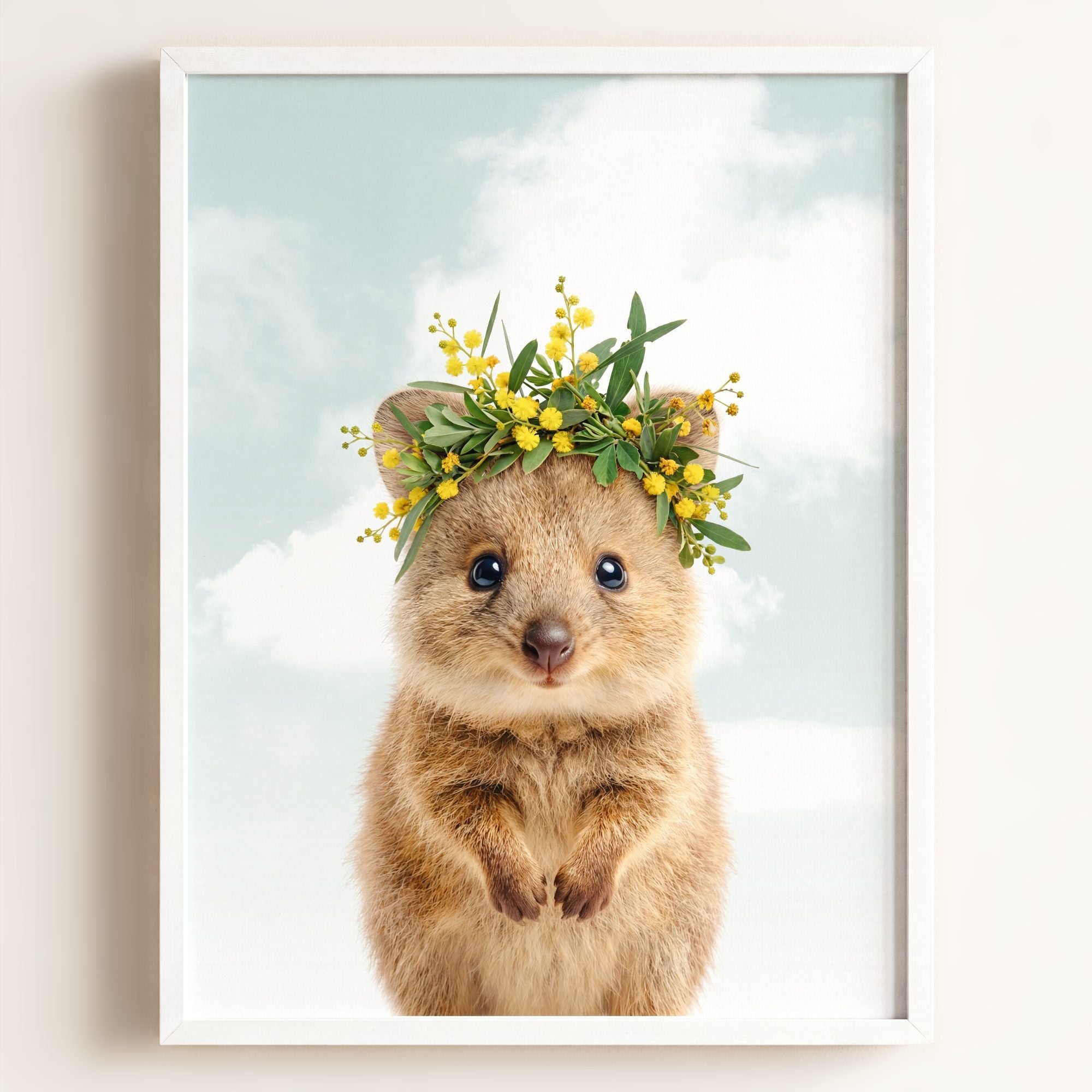 Baby Quokka