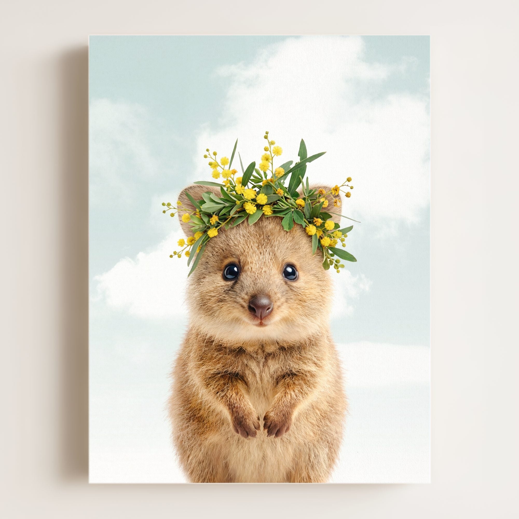 Baby Quokka