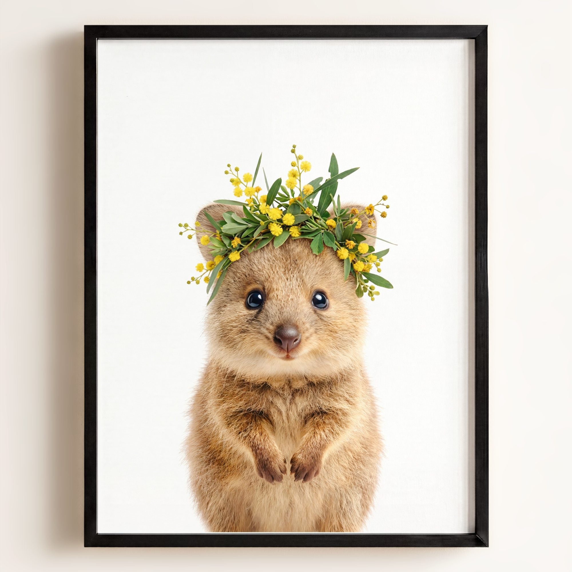Baby Quokka