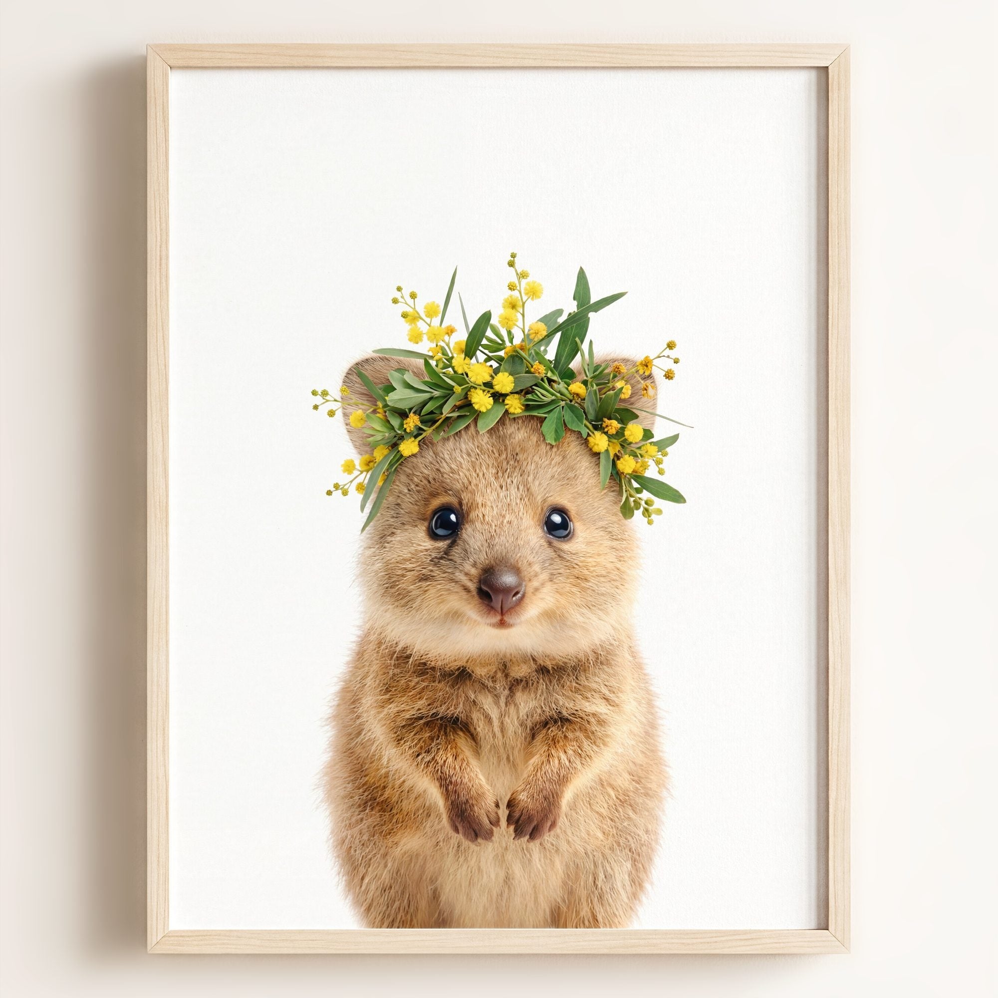 Baby Quokka
