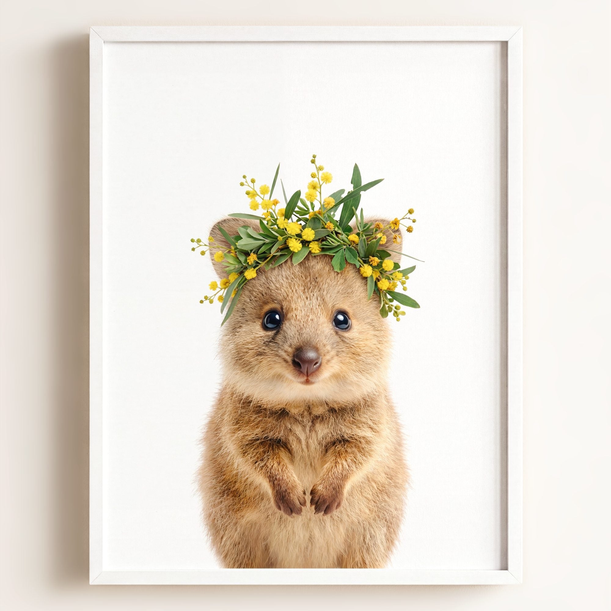 Baby Quokka
