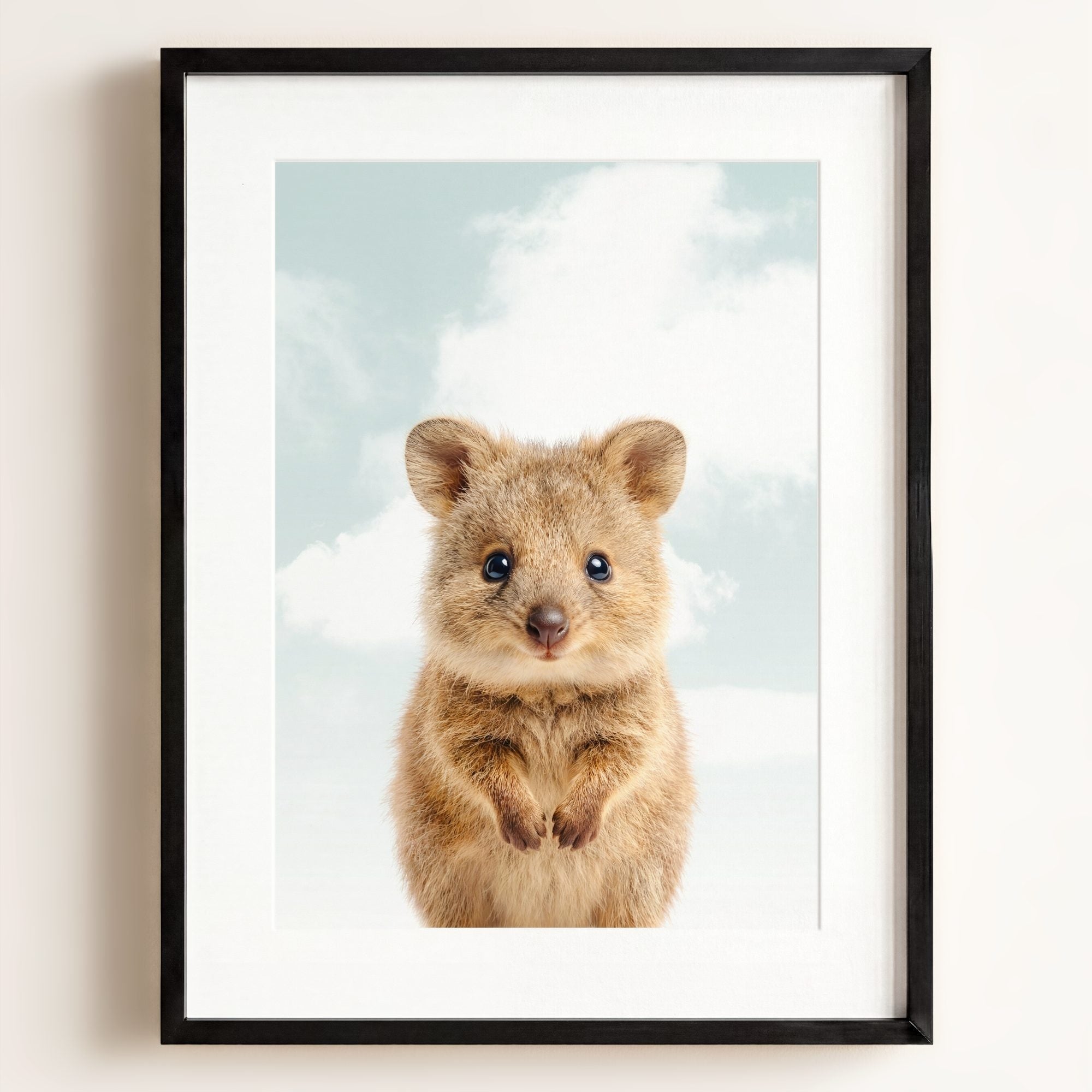 Baby Quokka
