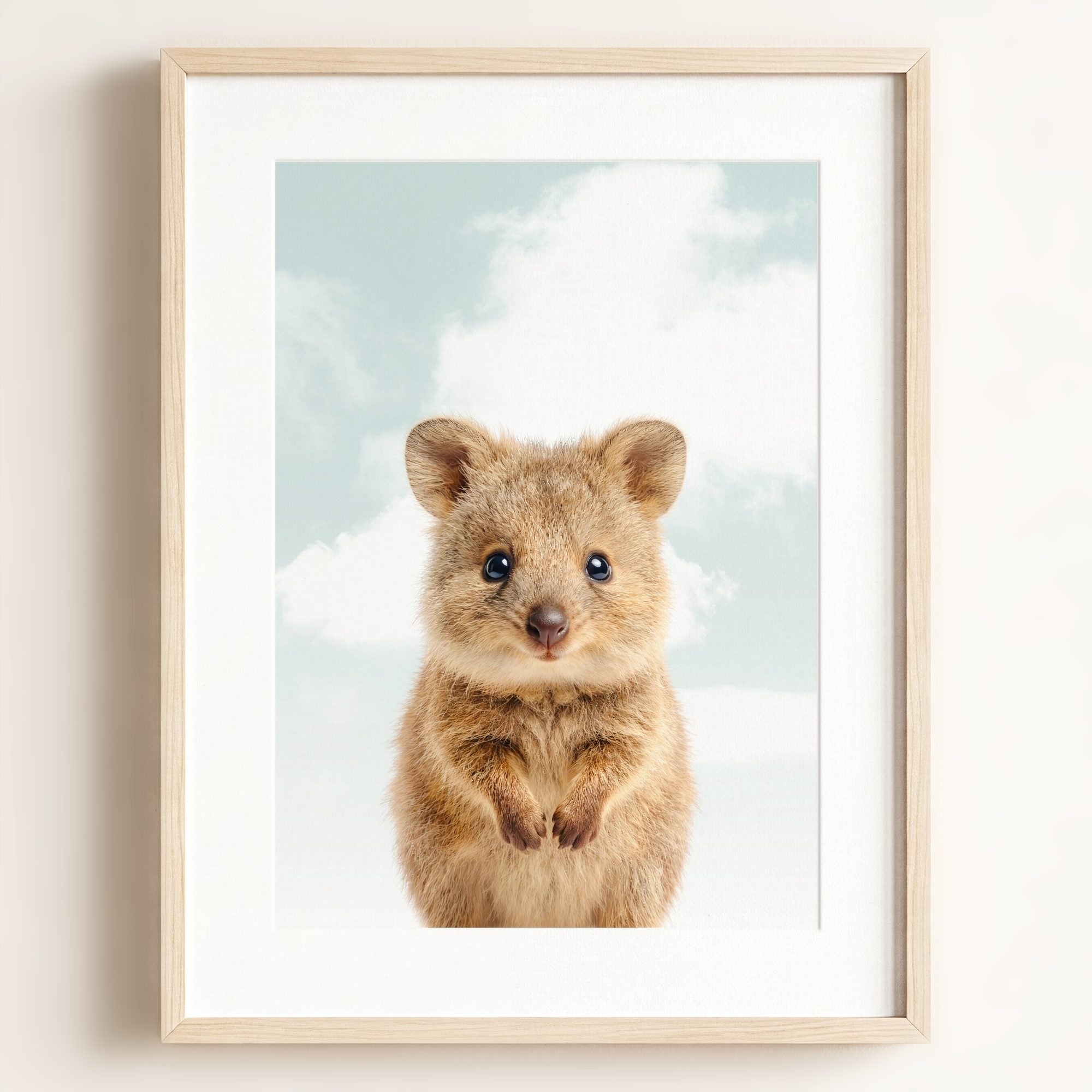 Baby Quokka