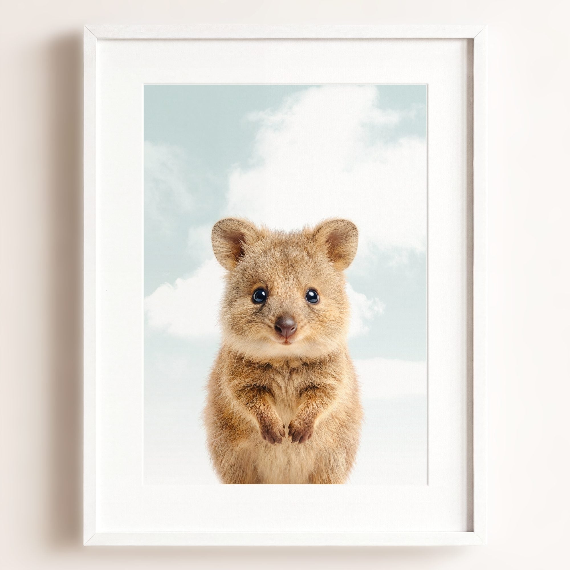 Baby Quokka