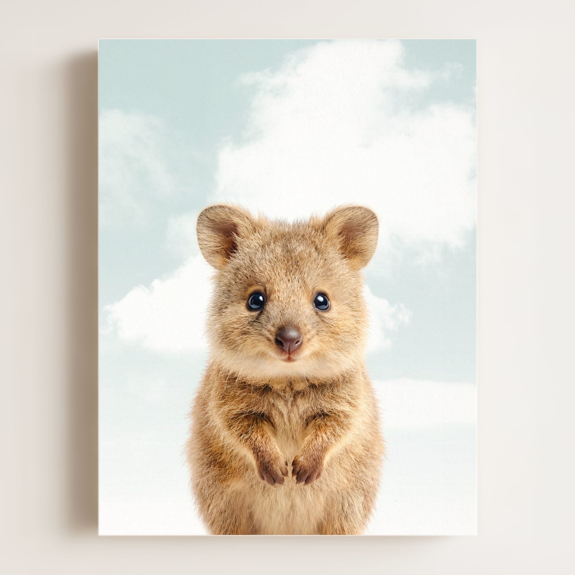 Baby Quokka