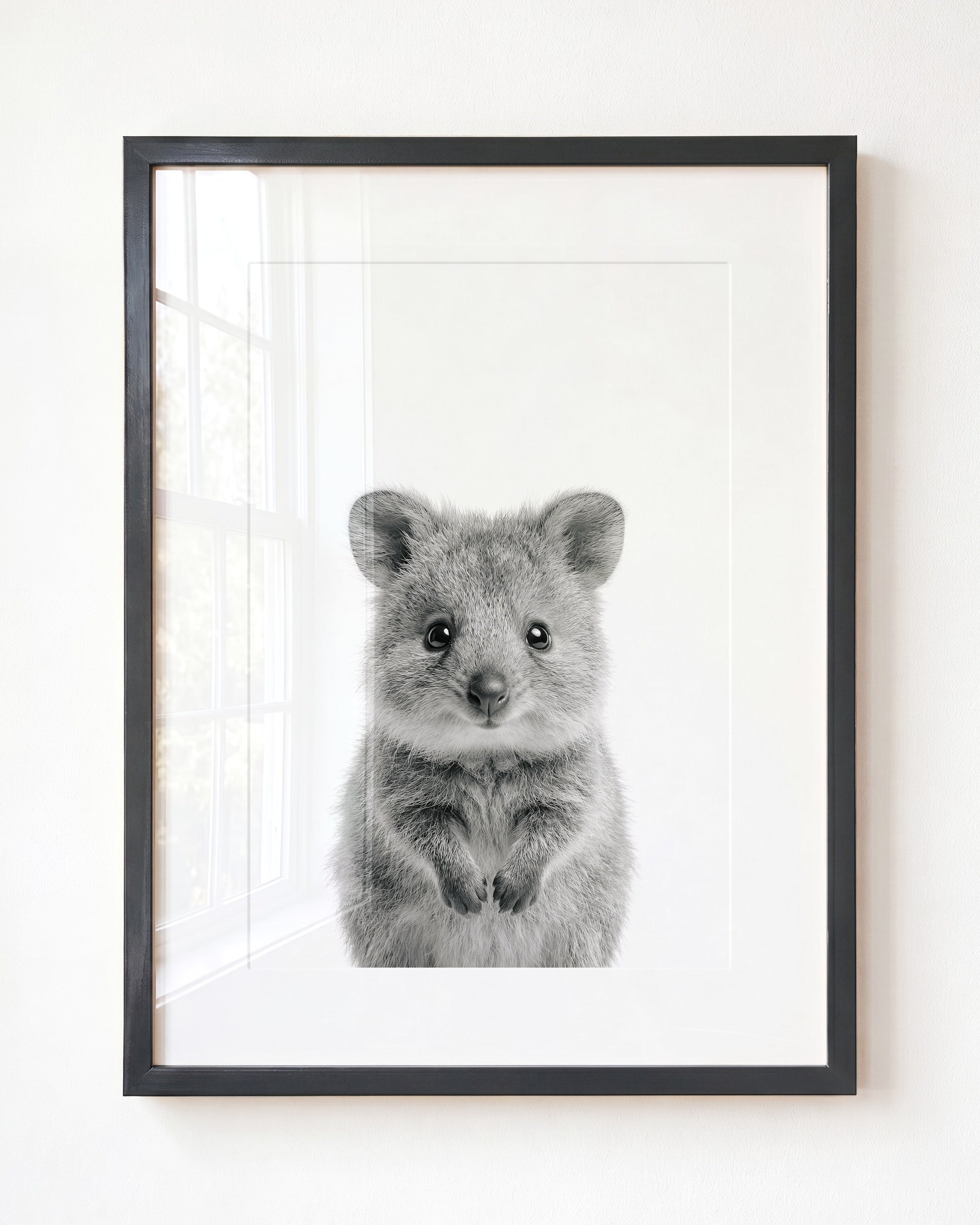 Baby Quokka