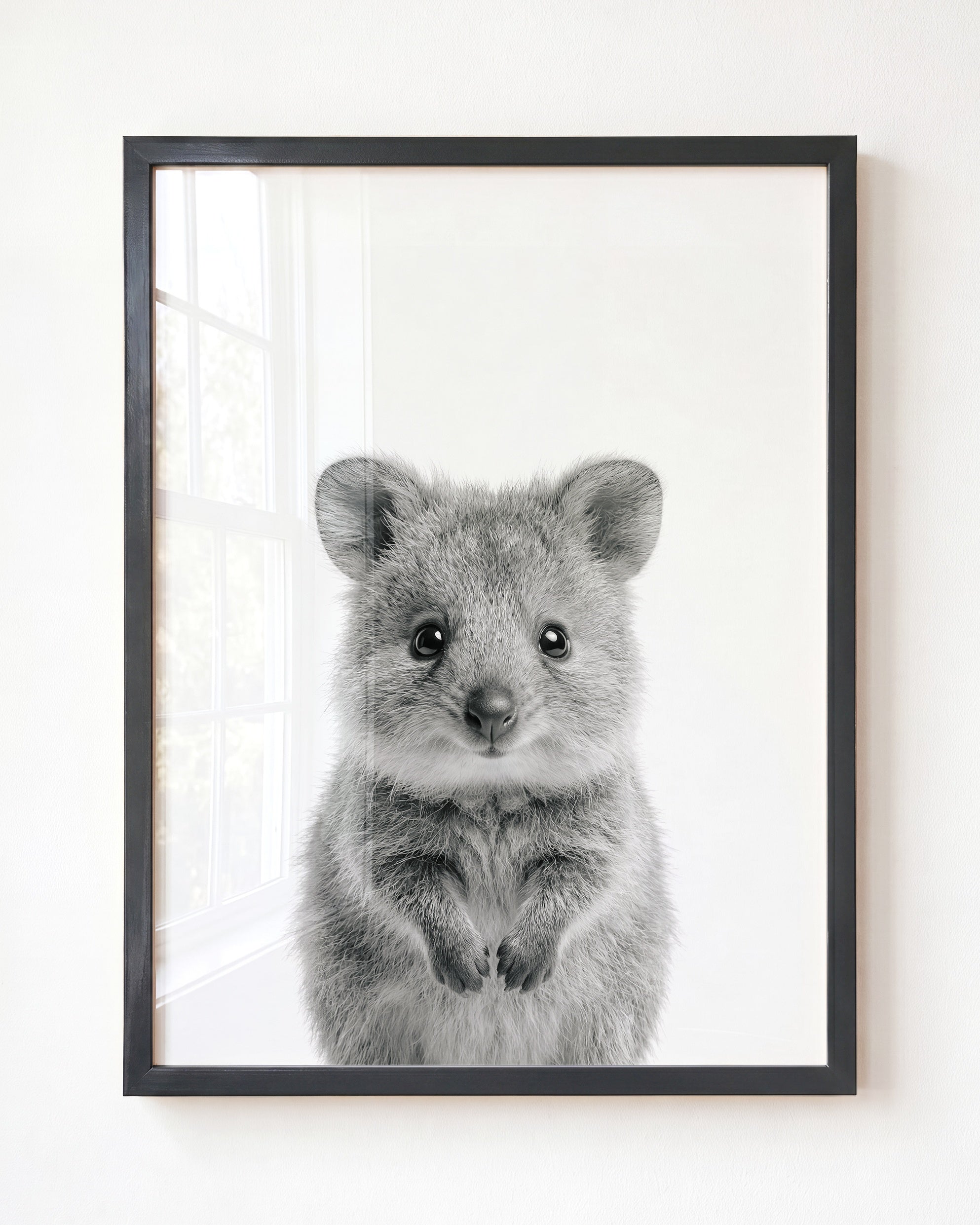 Baby Quokka