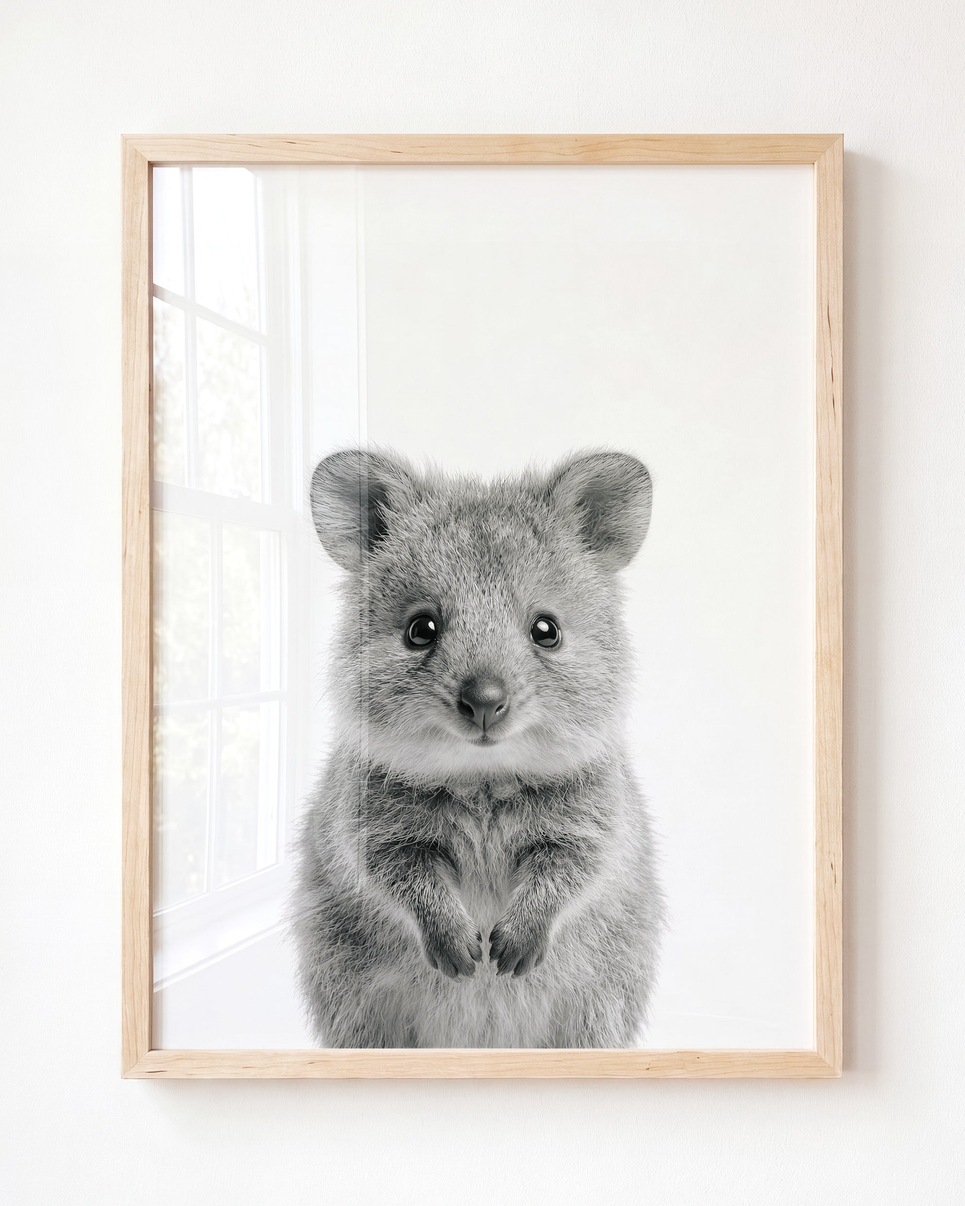 Baby Quokka