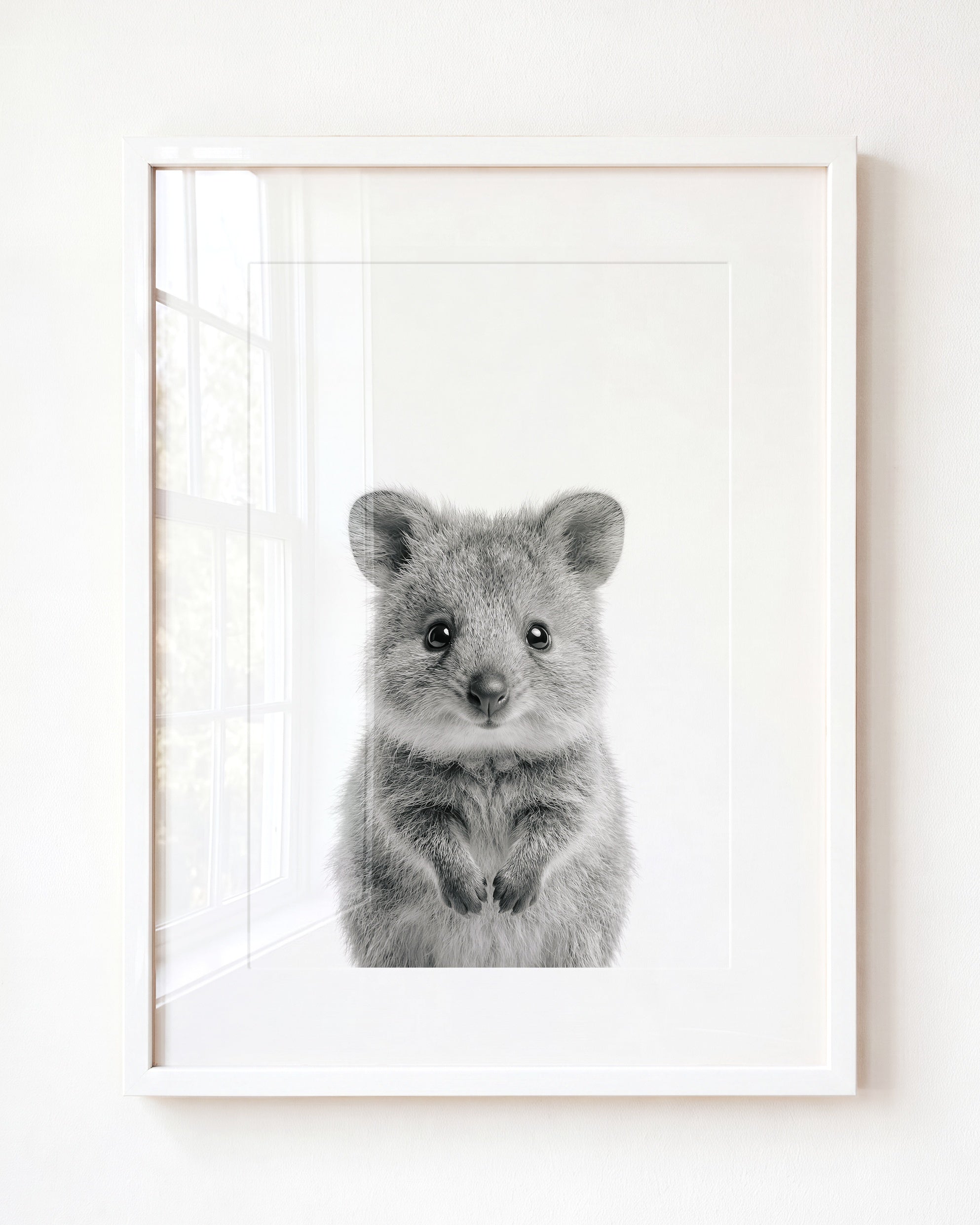 Baby Quokka