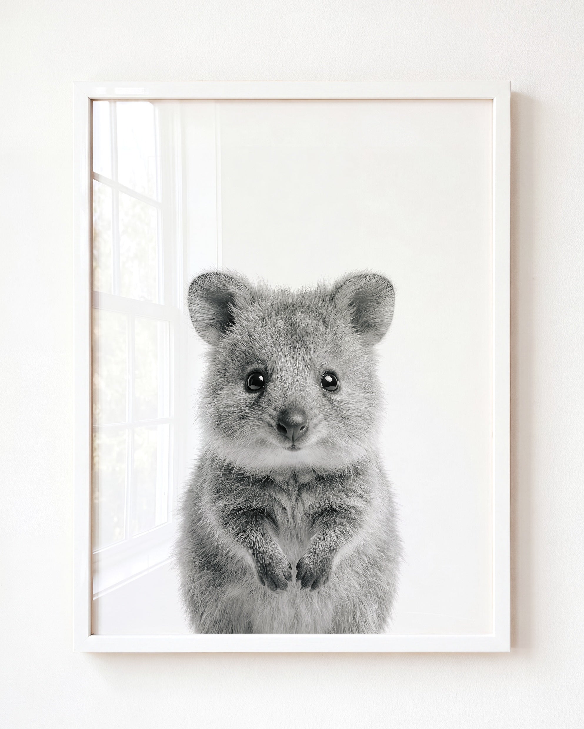Baby Quokka