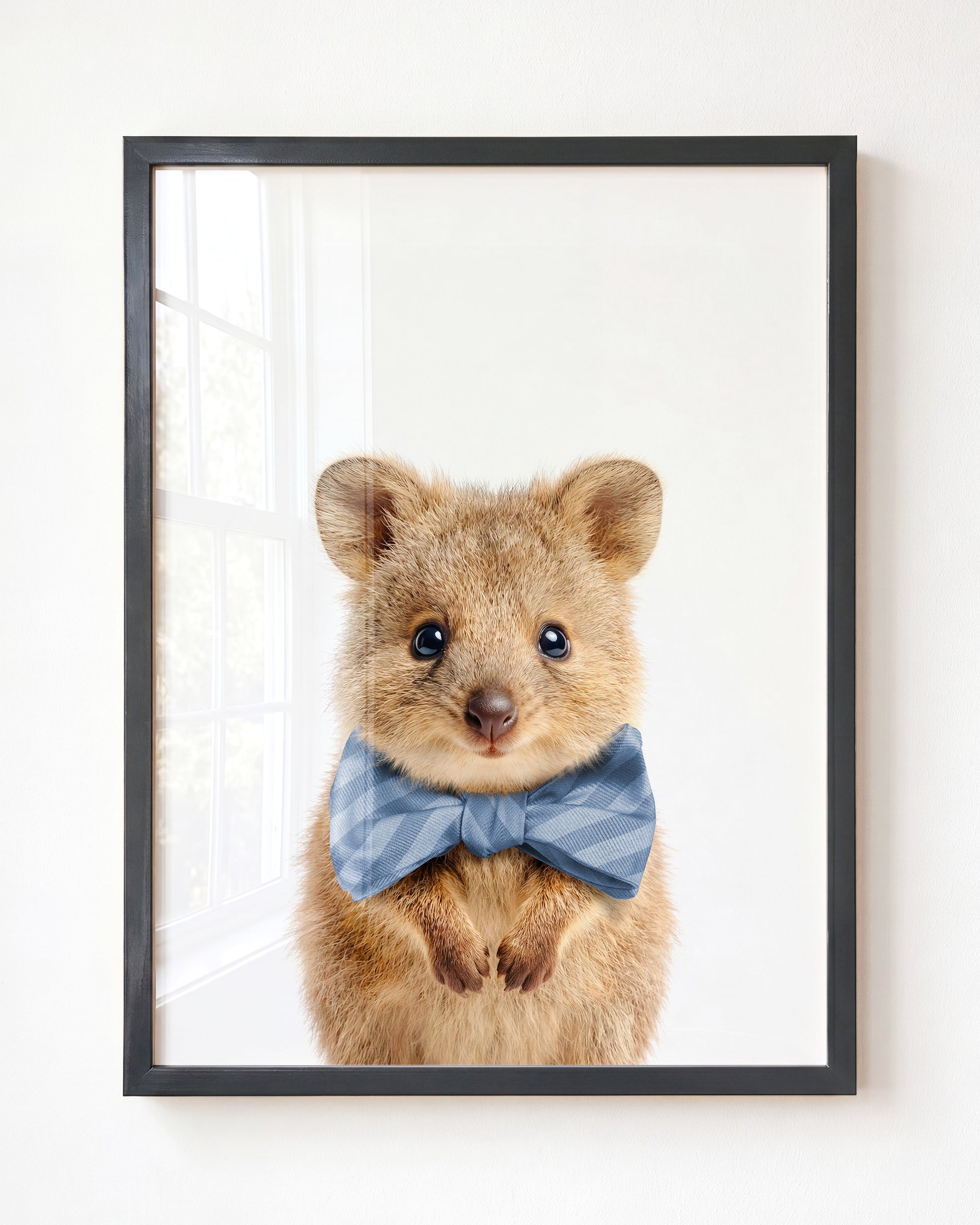 Baby Quokka