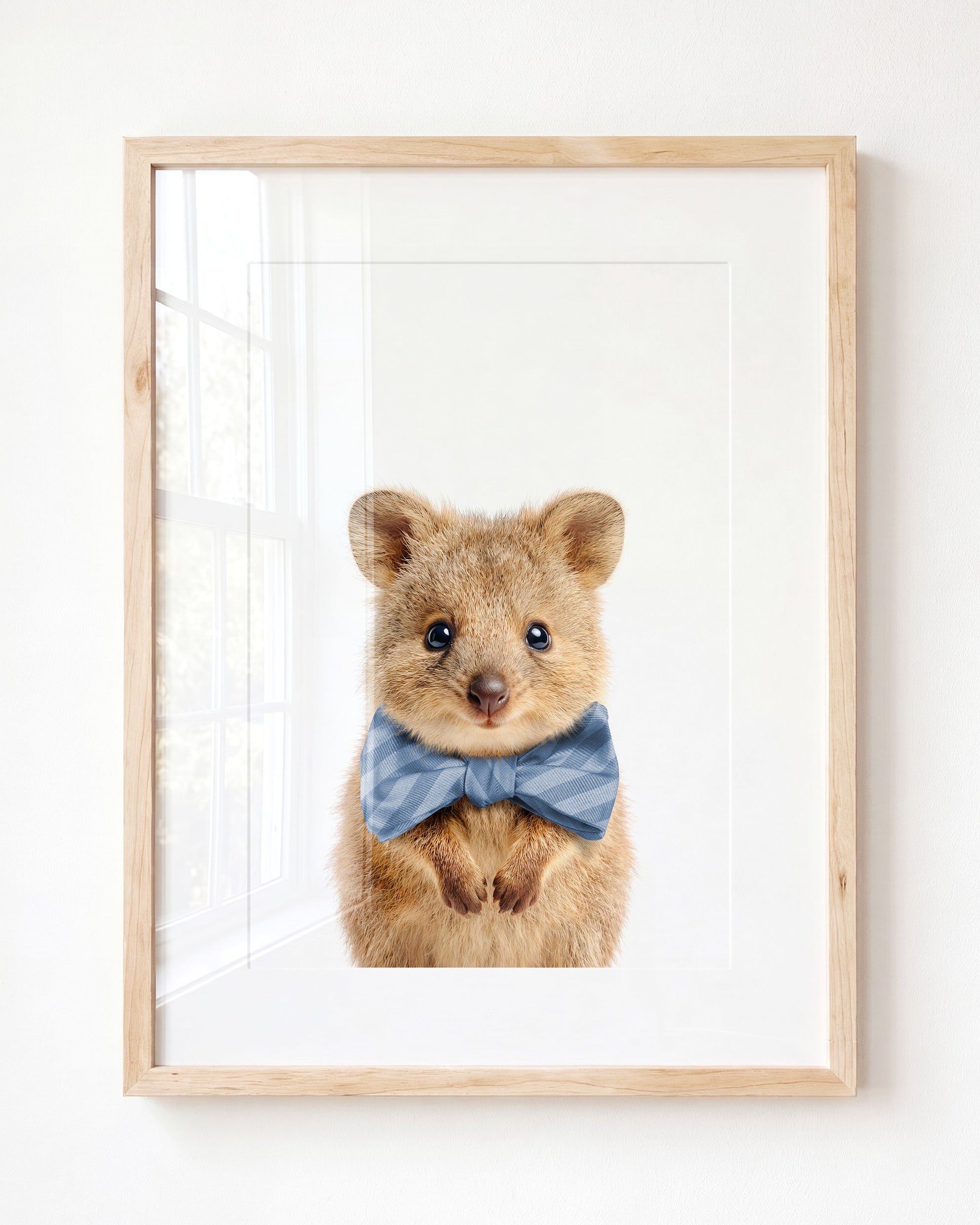 Baby Quokka